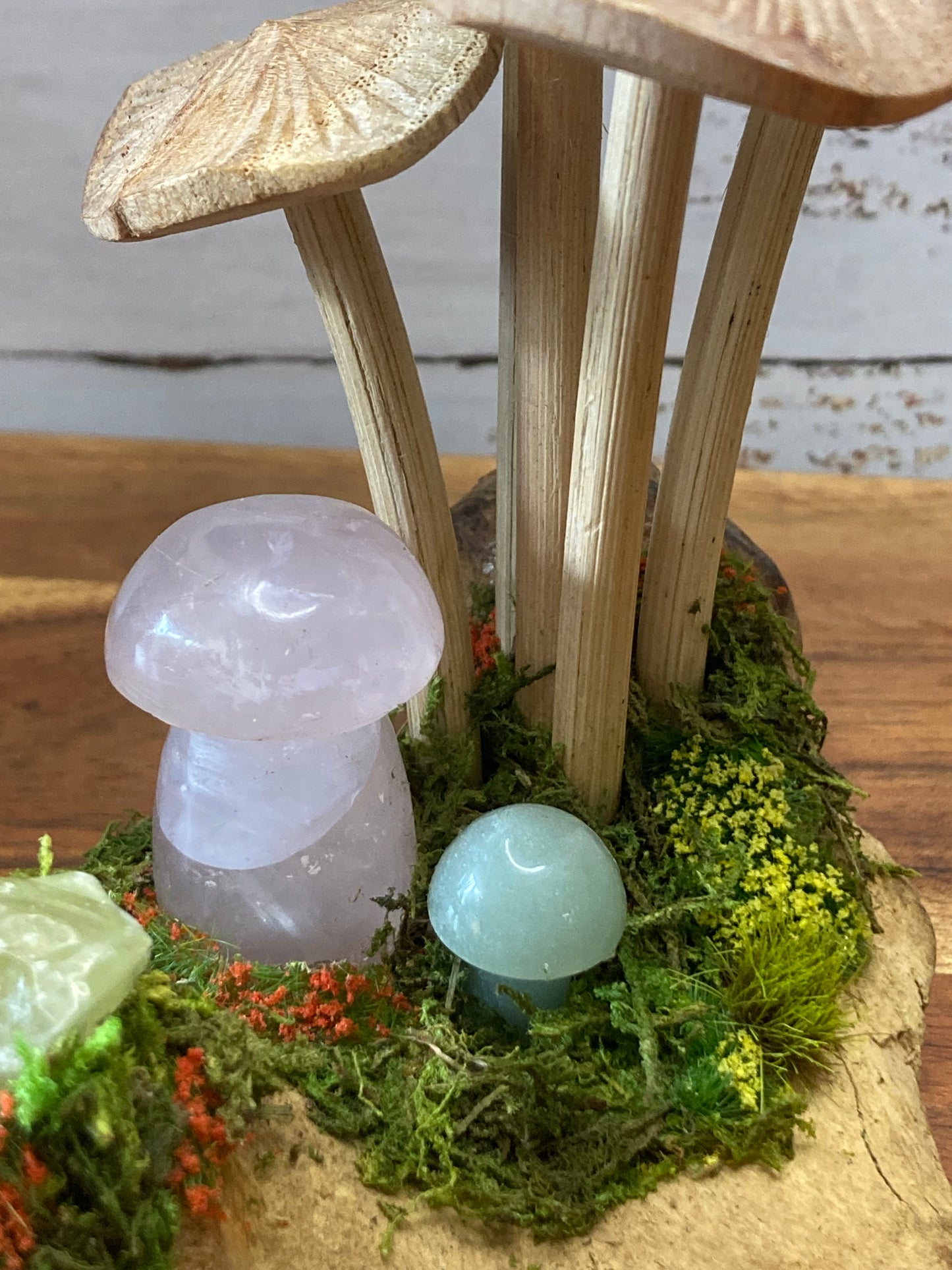 Mushroom Cluster