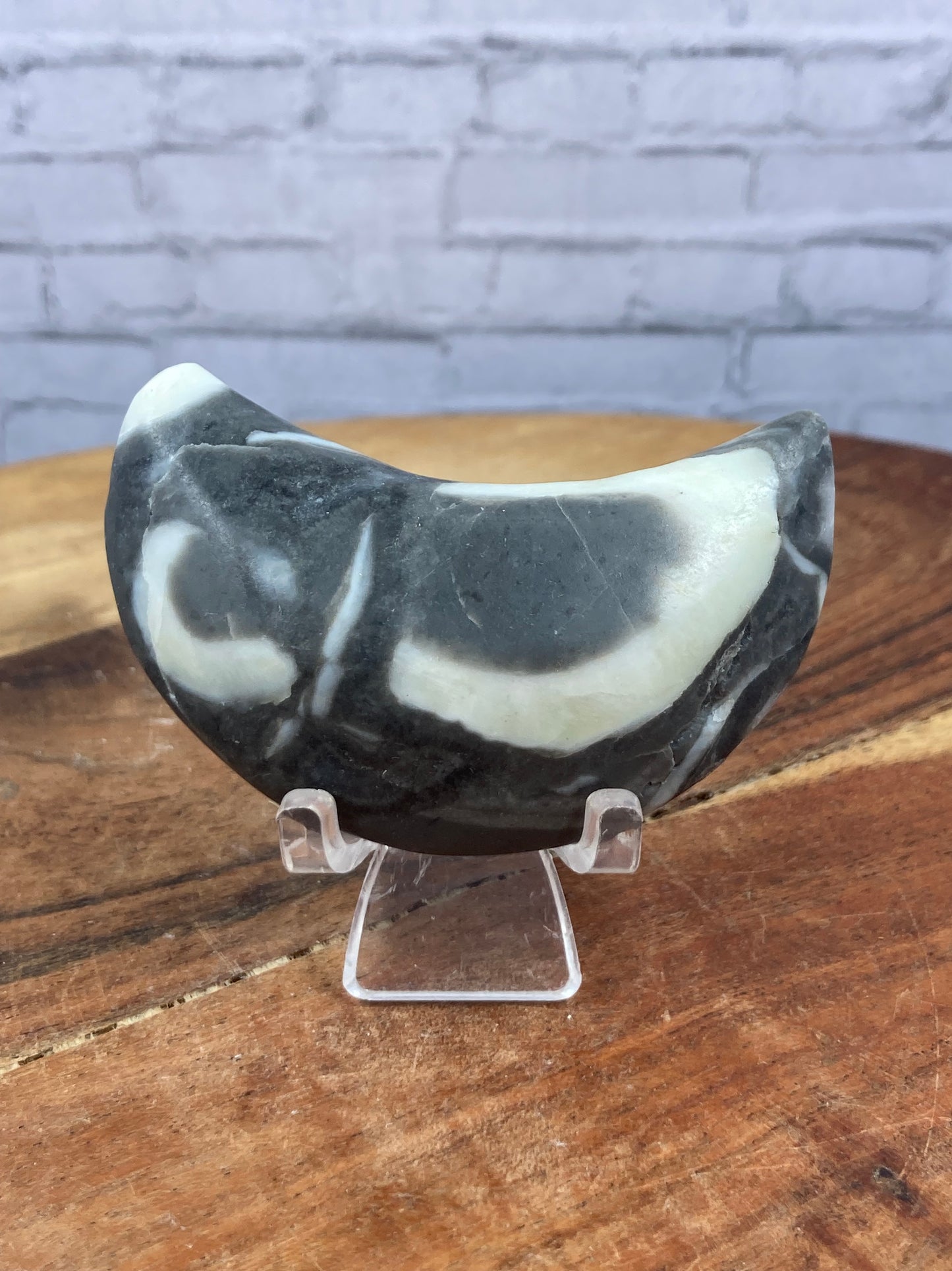 Fossil Shell Marble Moon