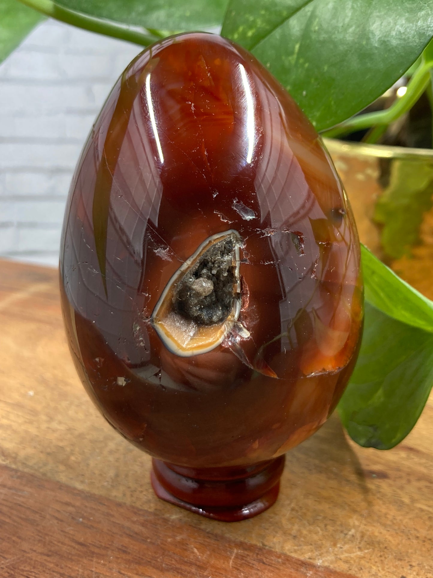 Carnelian Egg