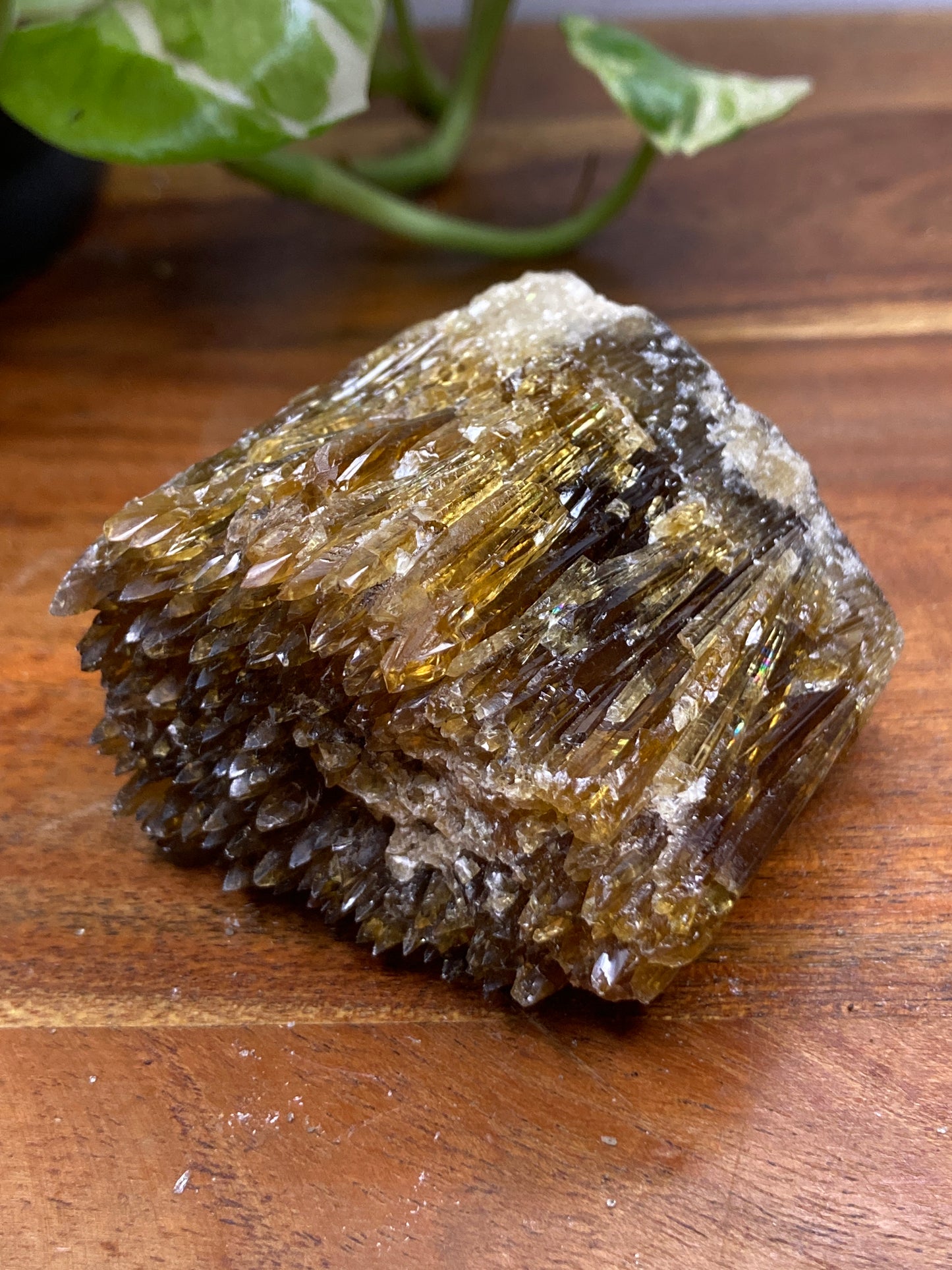 Amber Dogtooth Calcite