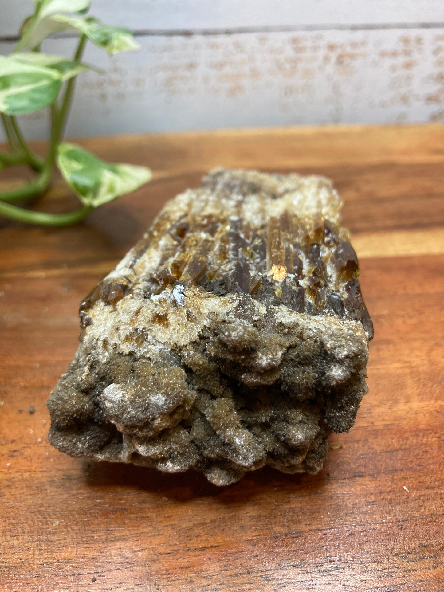 Amber Dogtooth Calcite