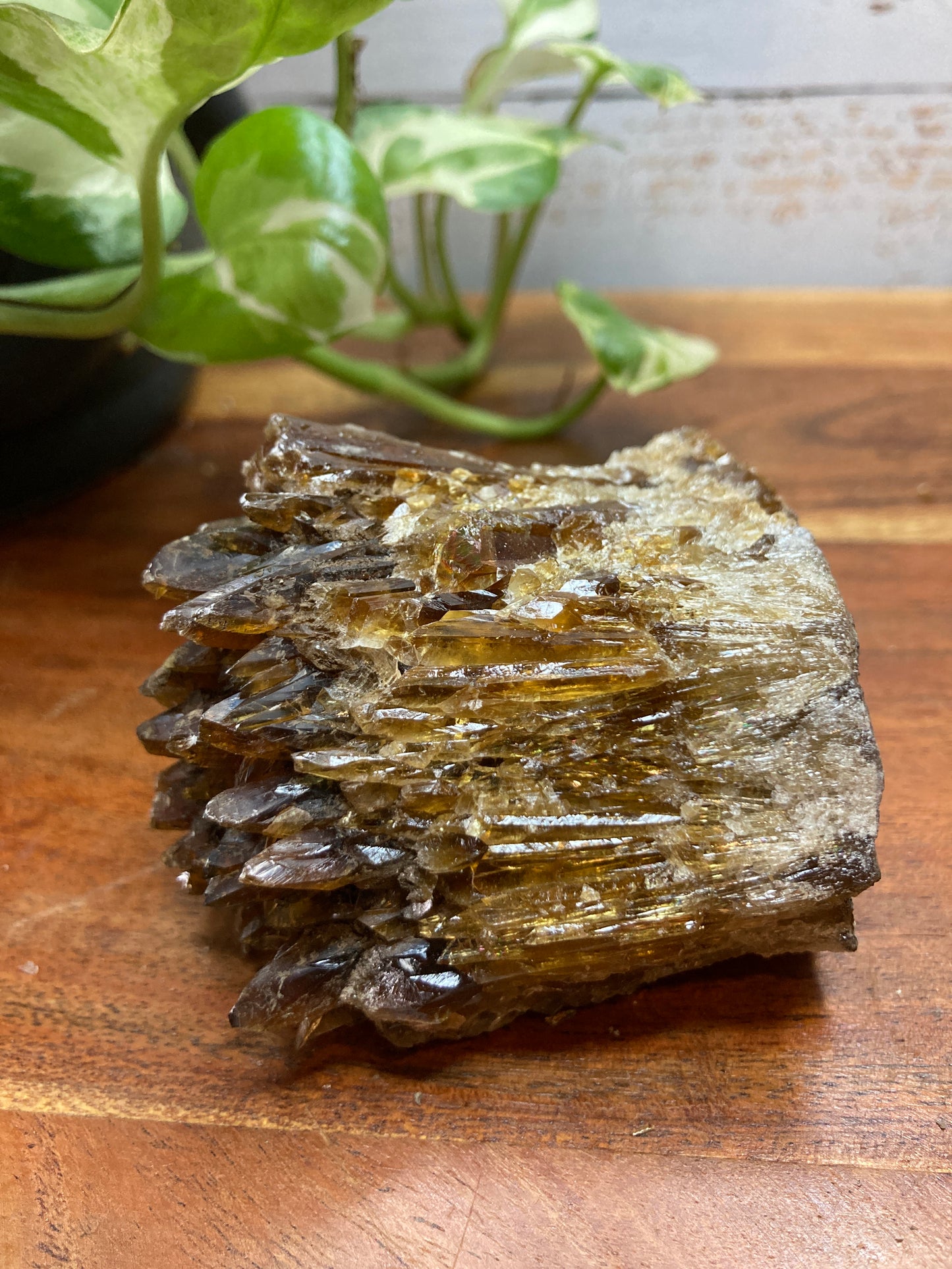 Amber Dogtooth Calcite