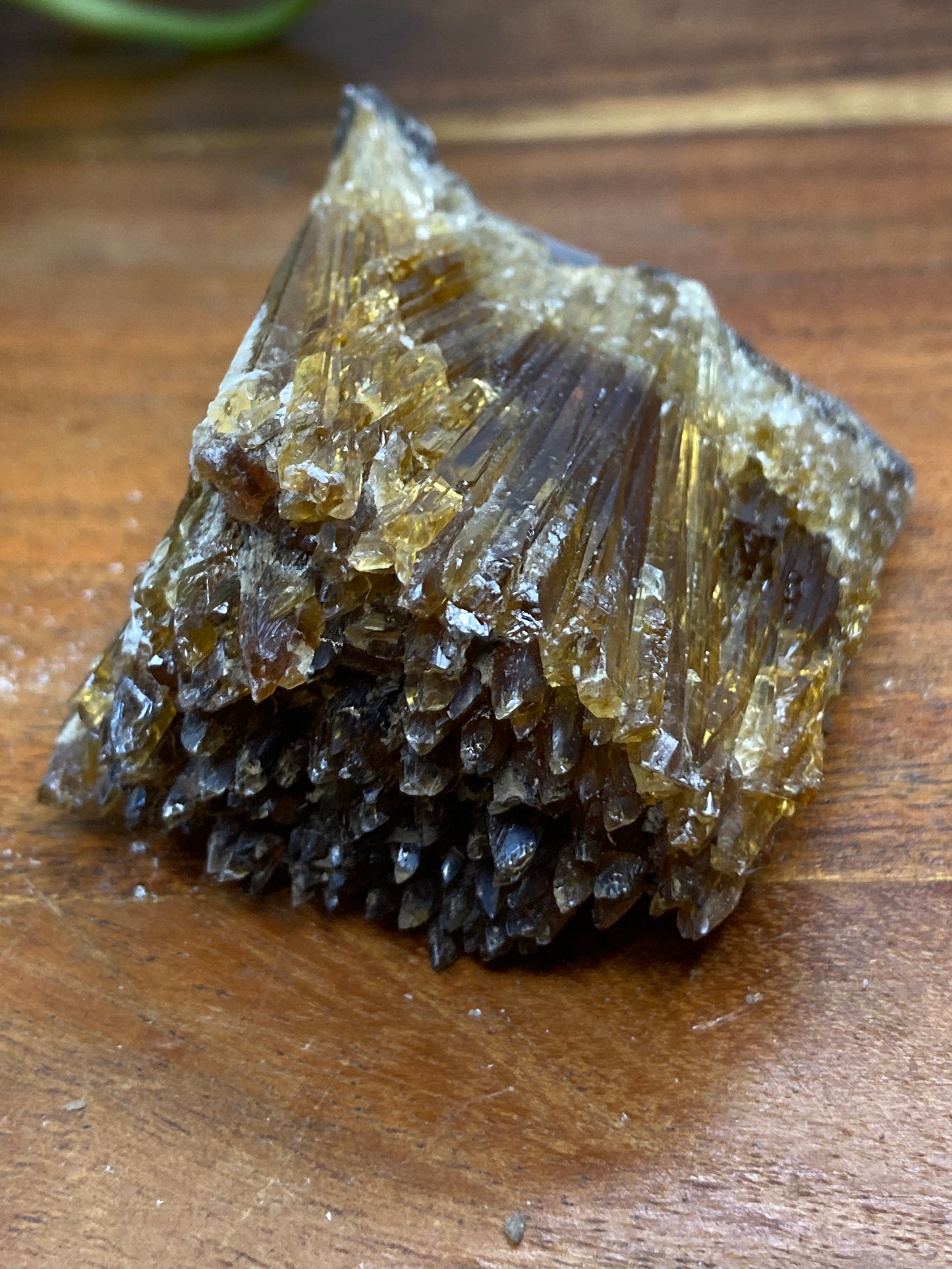 Amber Dogtooth Calcite