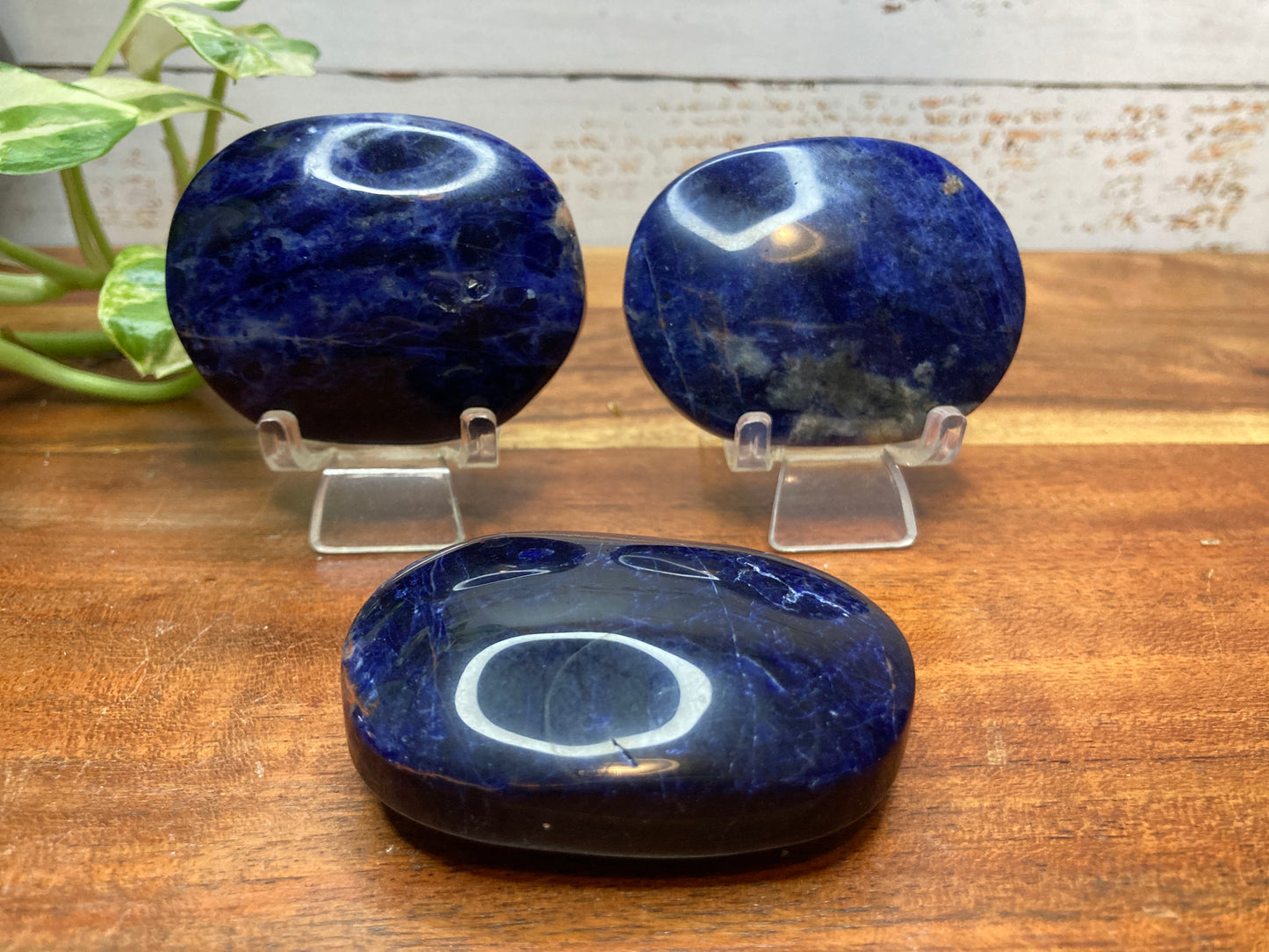 Sunset Sodalite Palmstones