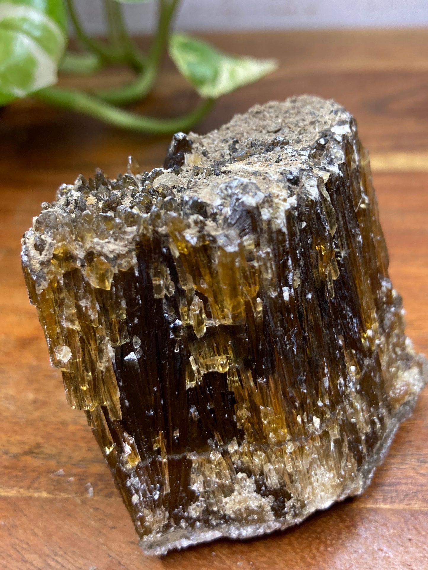 Amber Dogtooth Calcite