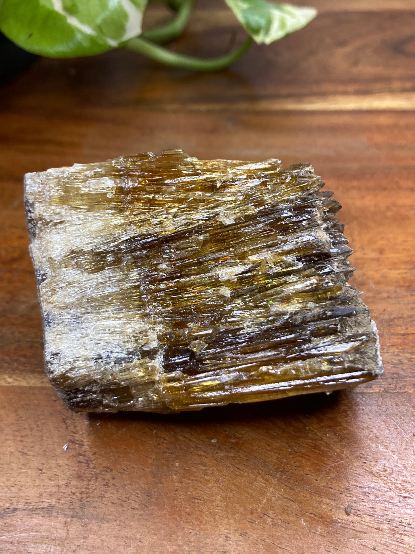 Amber Dogtooth Calcite