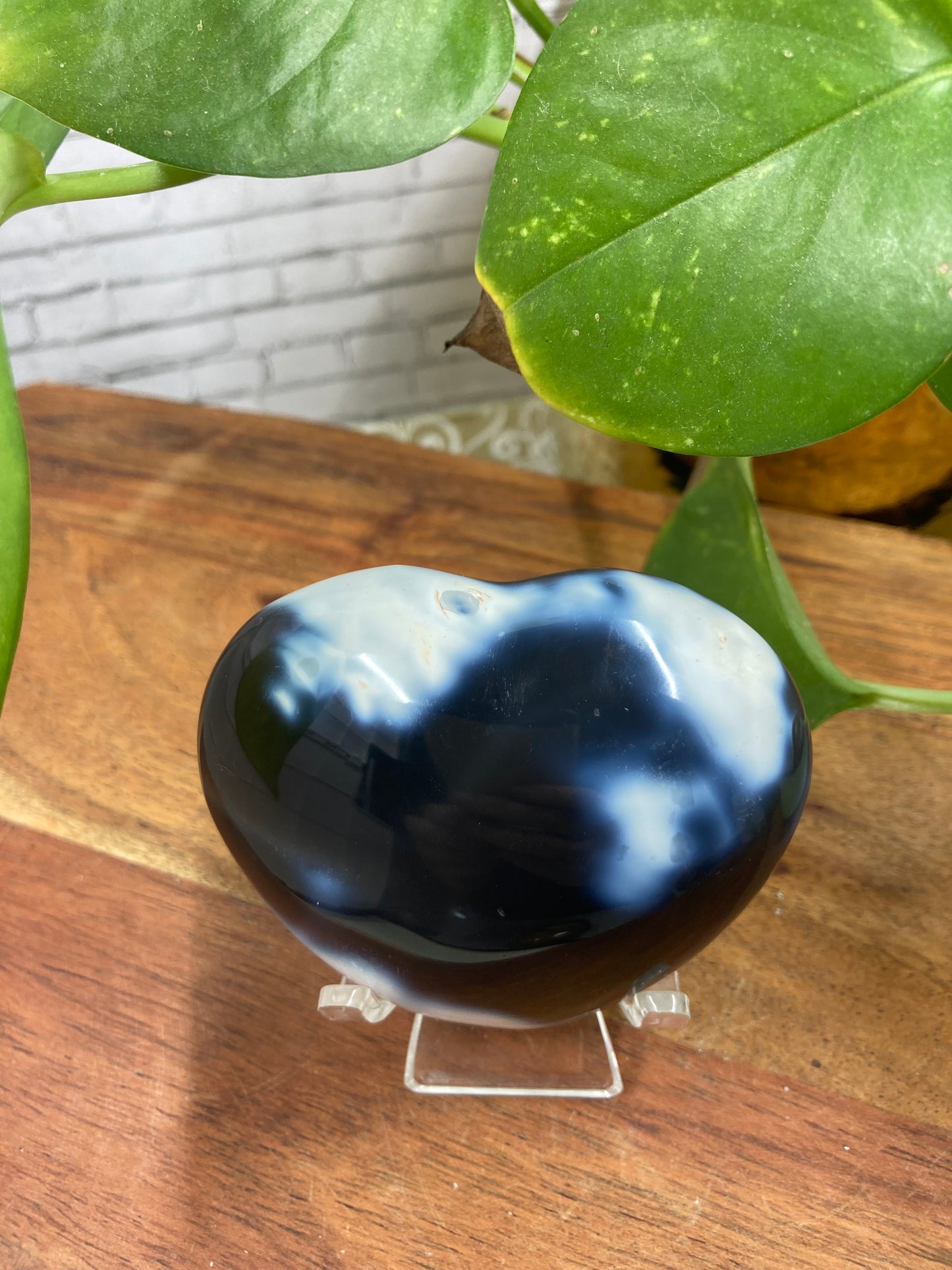 Orca Agate Heart