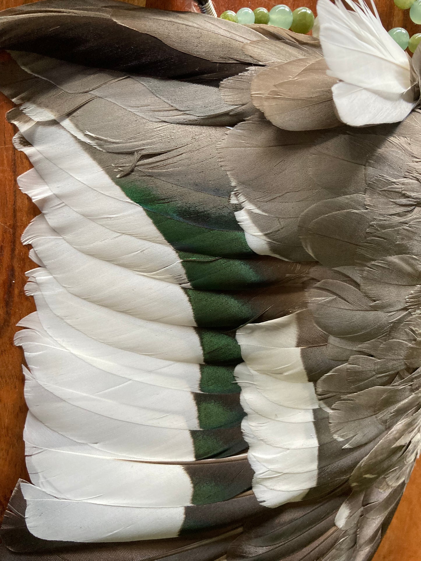 Woodland Duck Healing Tool