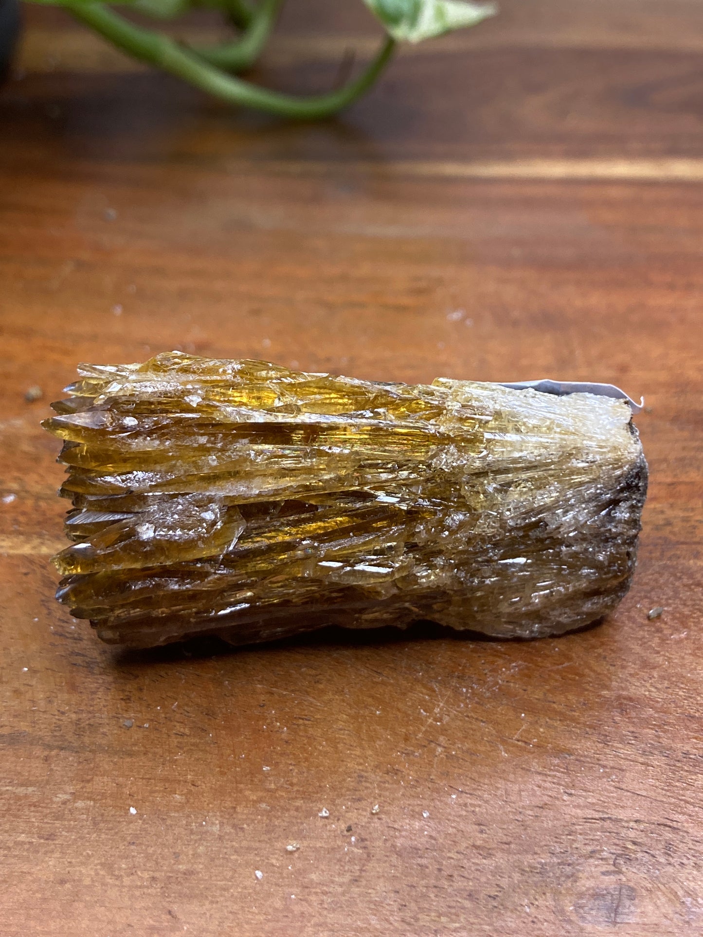 Amber Dogtooth Calcite