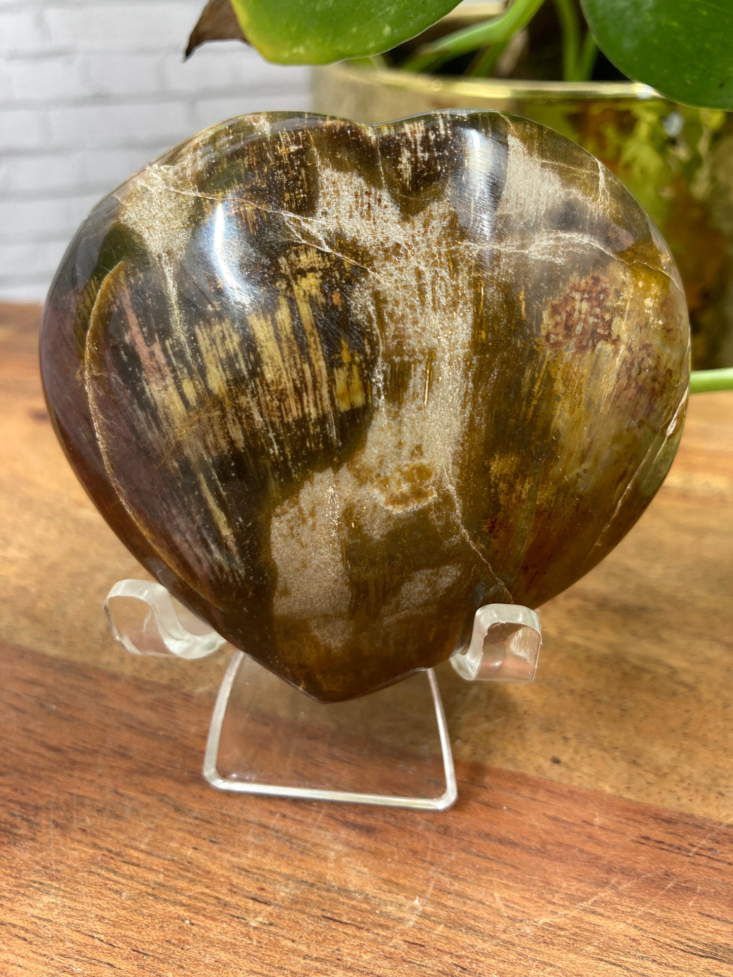 Petrified Wood Heart
