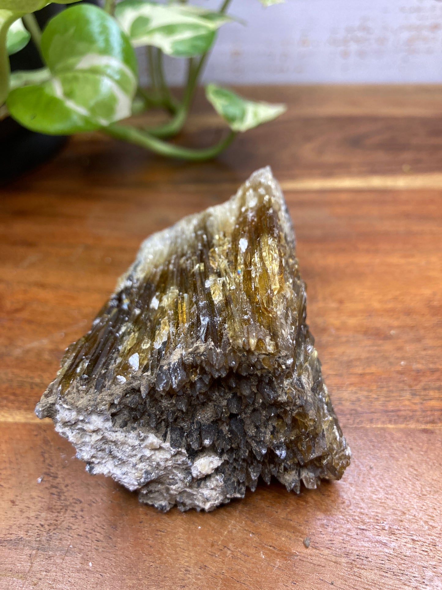 Amber Dogtooth Calcite