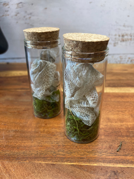 Child Python Shedding