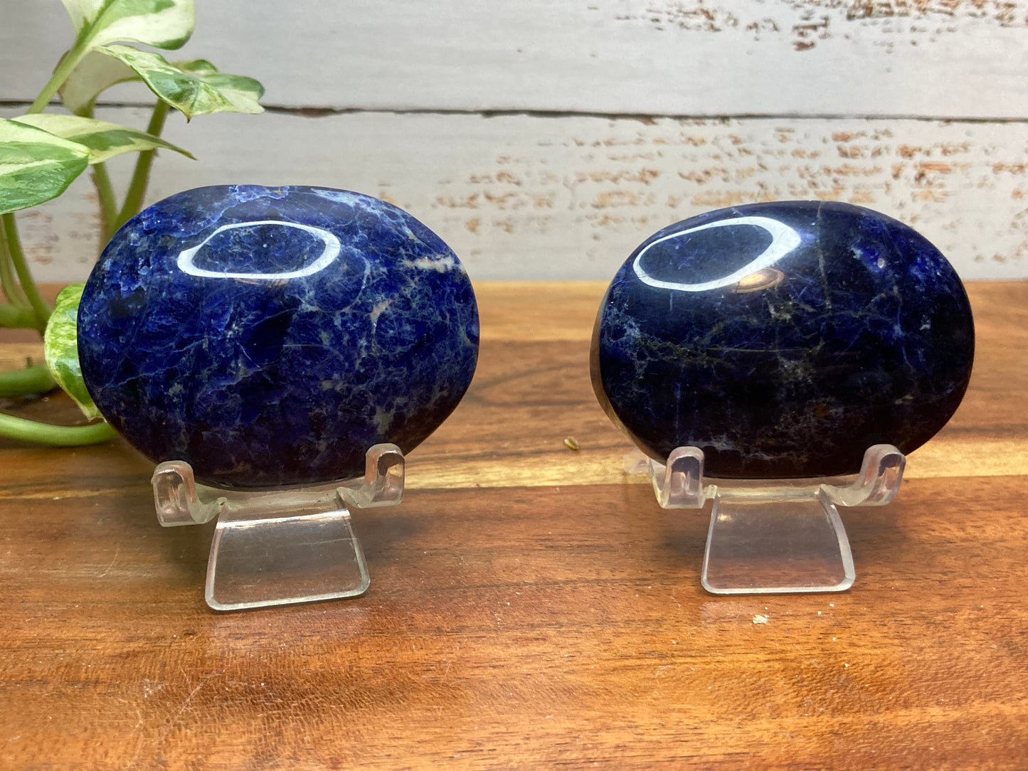 Sunset Sodalite Palmstones