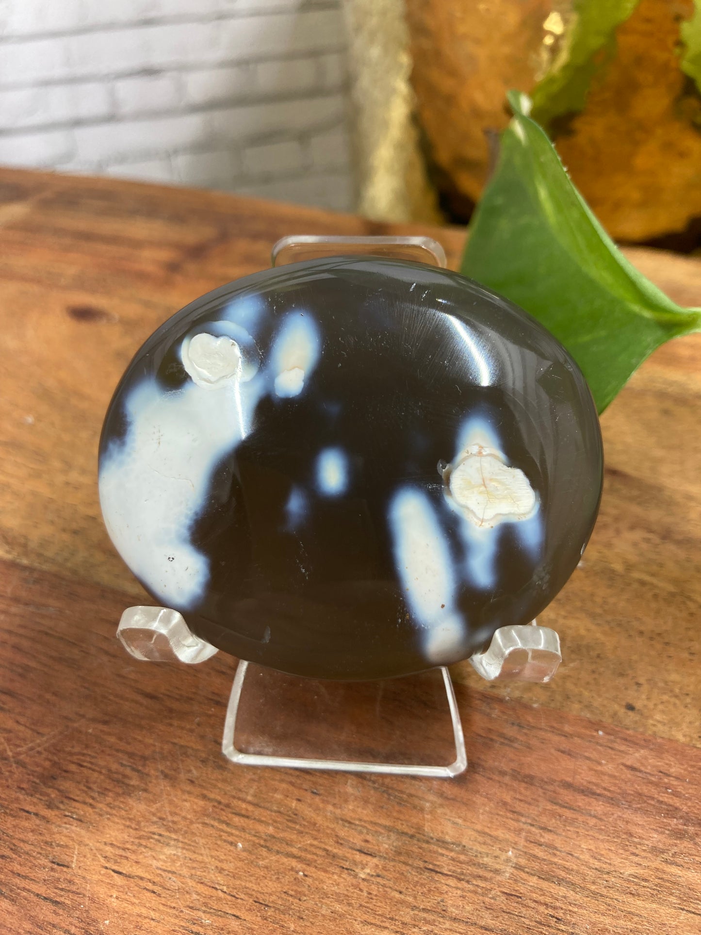 Orca Agate Palmstone