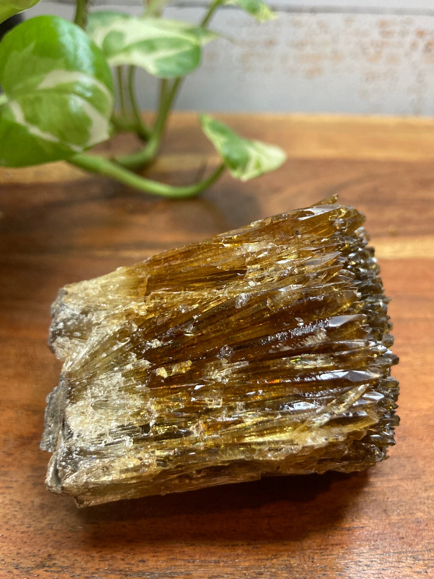 Amber Dogtooth Calcite
