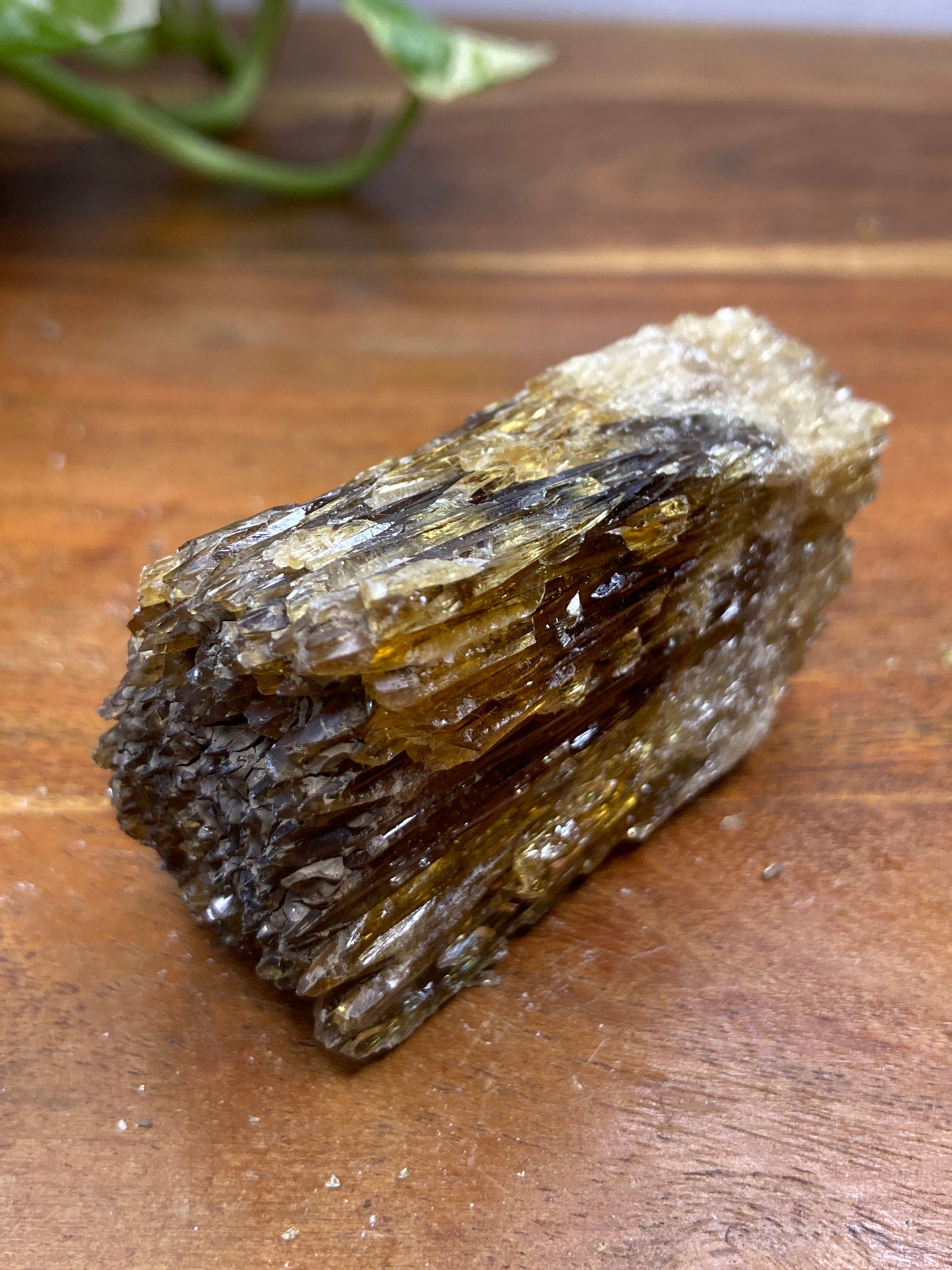 Amber Dogtooth Calcite