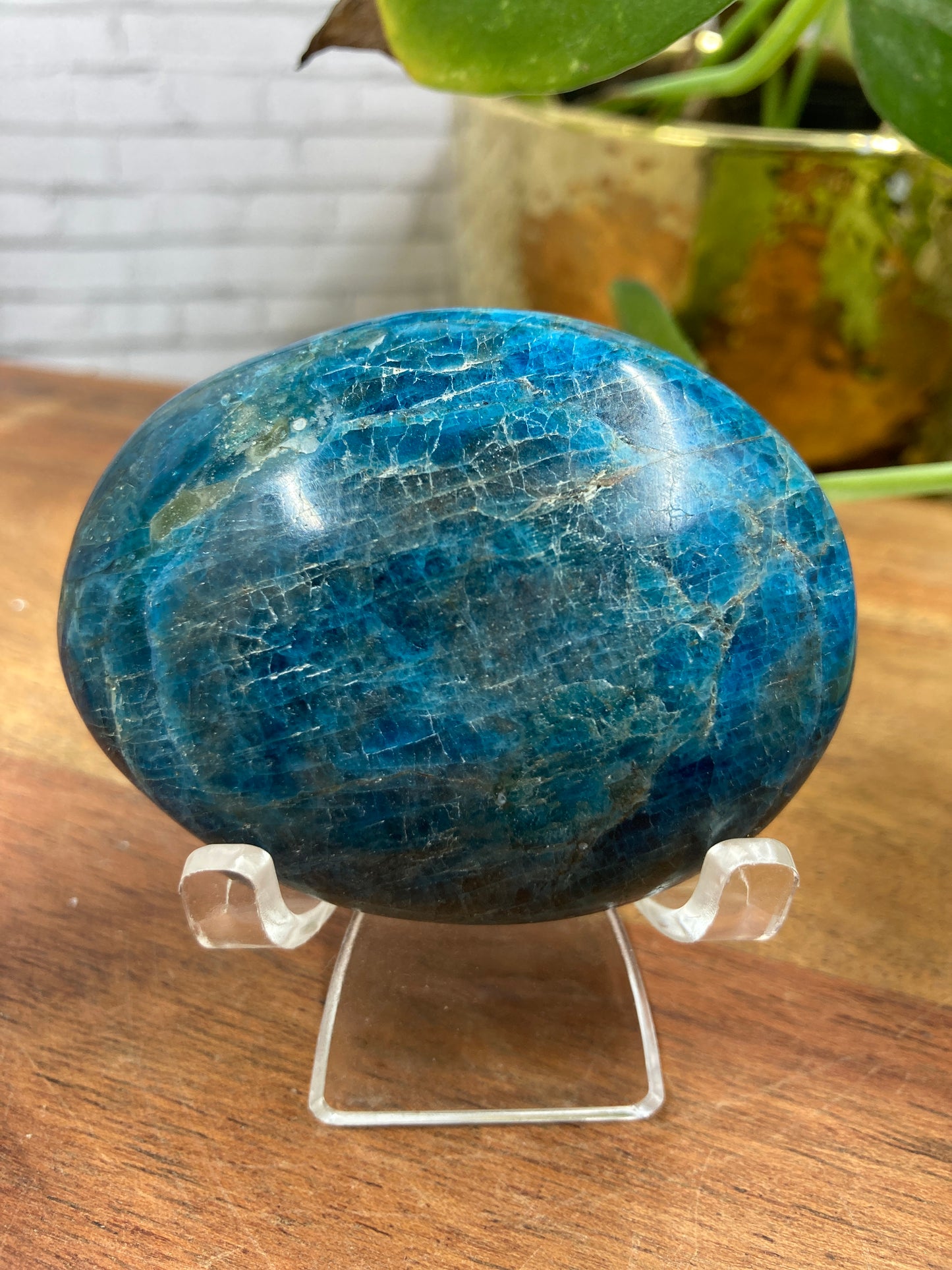 Apatite Palmstone