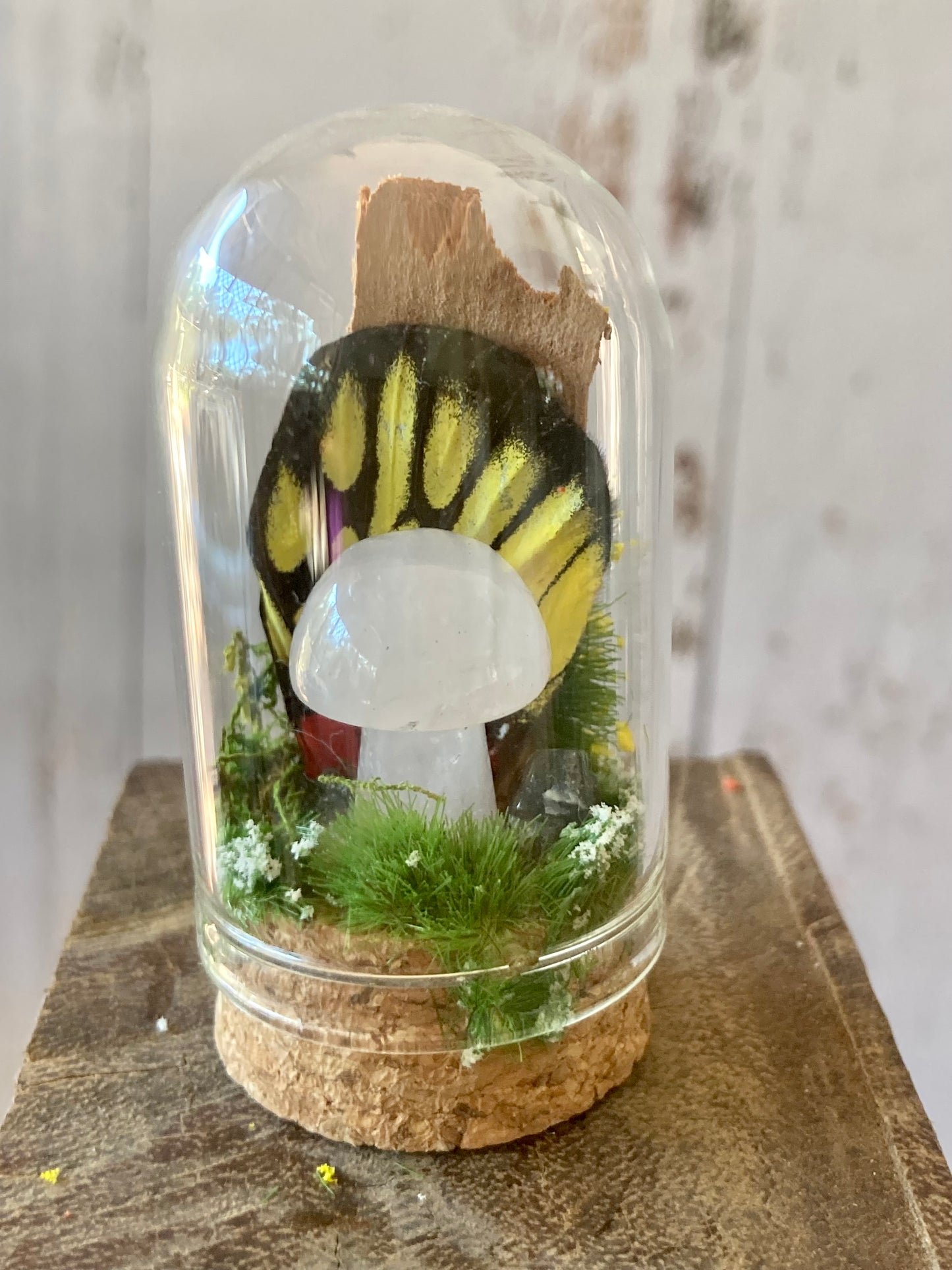 Rose Quartz Mushroom terrarium