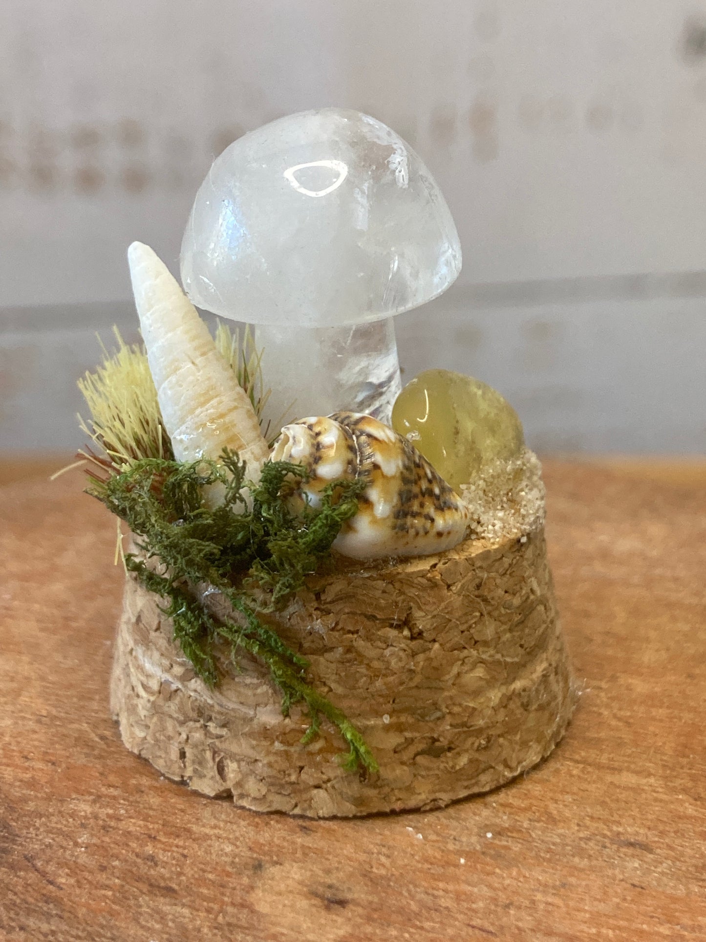 Clear Quartz Mushroom terrarium