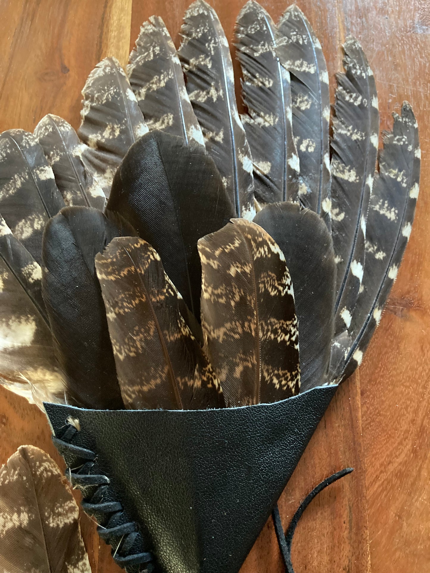 Tawny Frog Mouth with Yellowtail Black Cockatoo & Pheasant