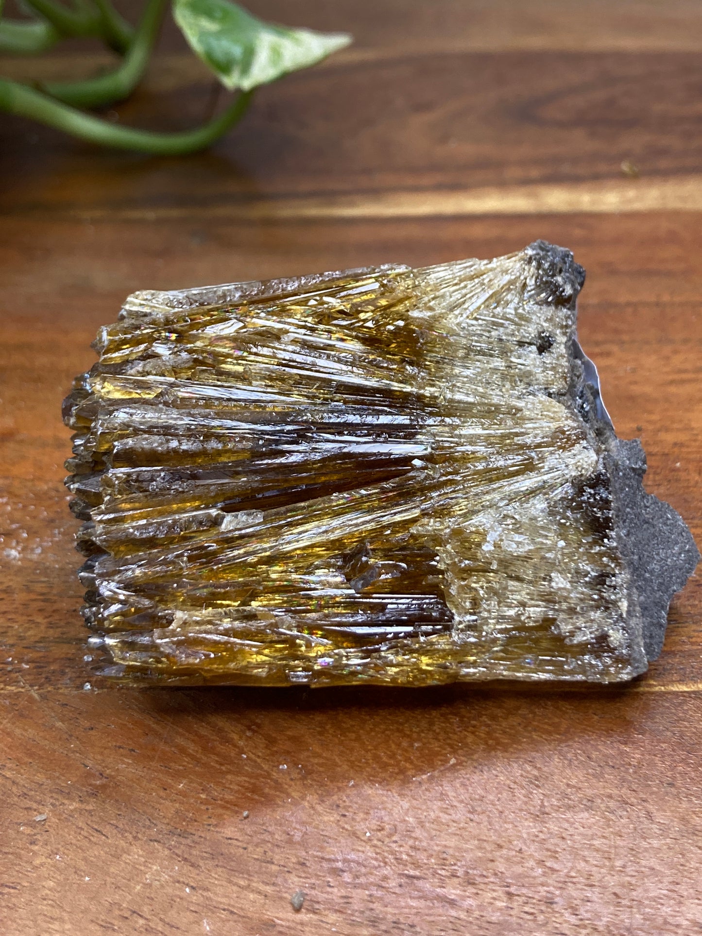 Amber Dogtooth Calcite