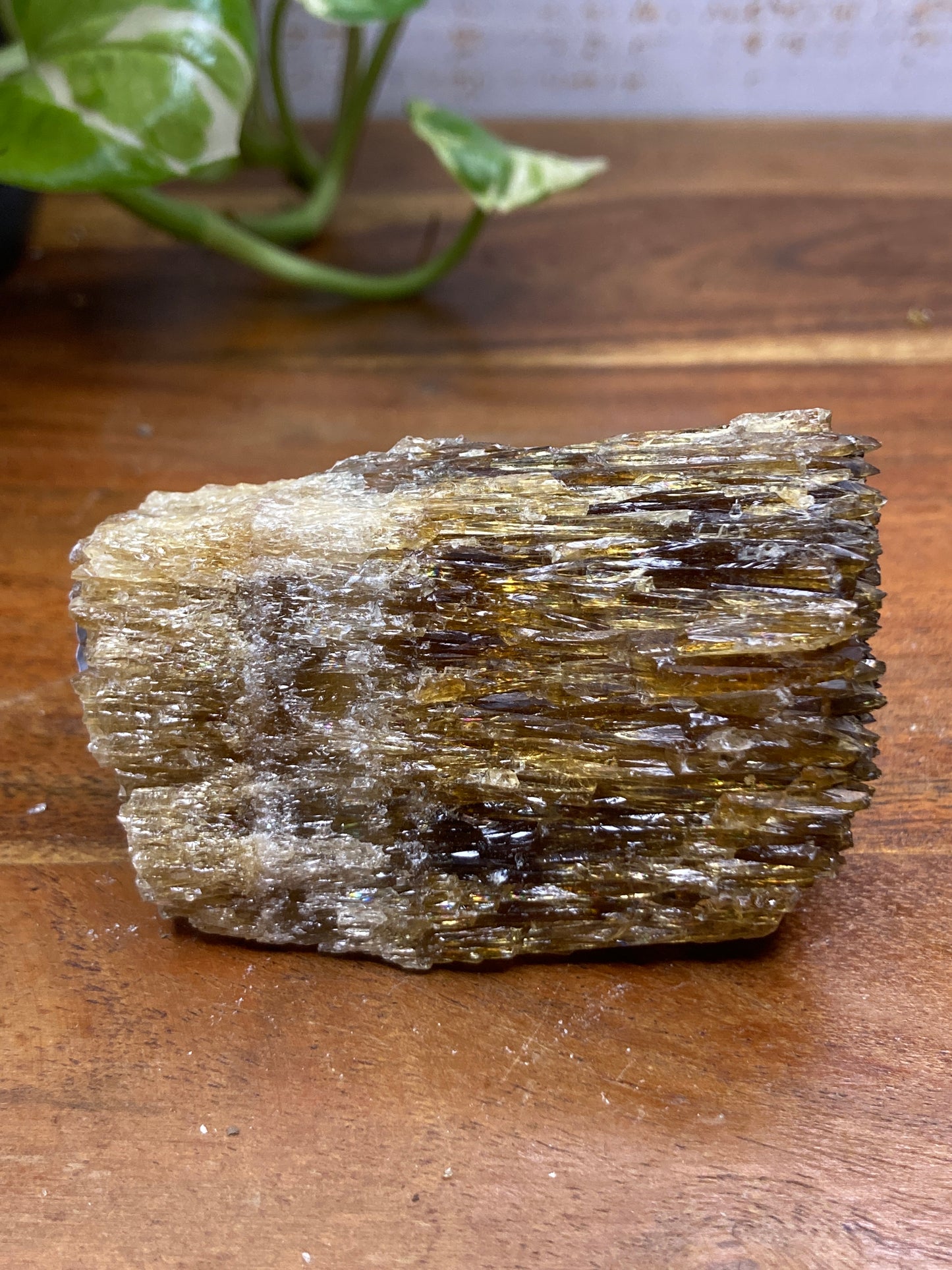 Amber Dogtooth Calcite