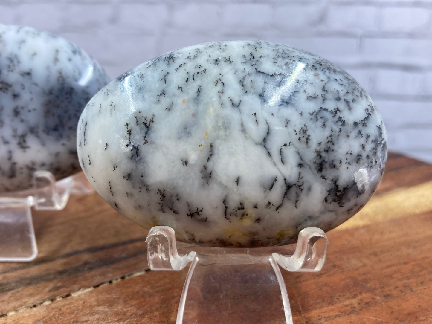 Dendritic Agate Palmstones