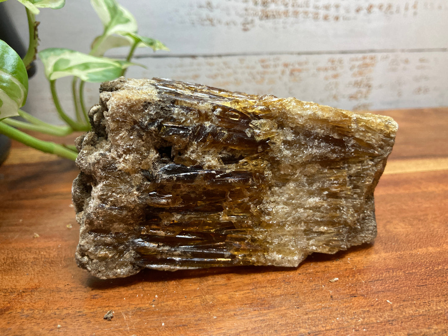 Amber Dogtooth Calcite