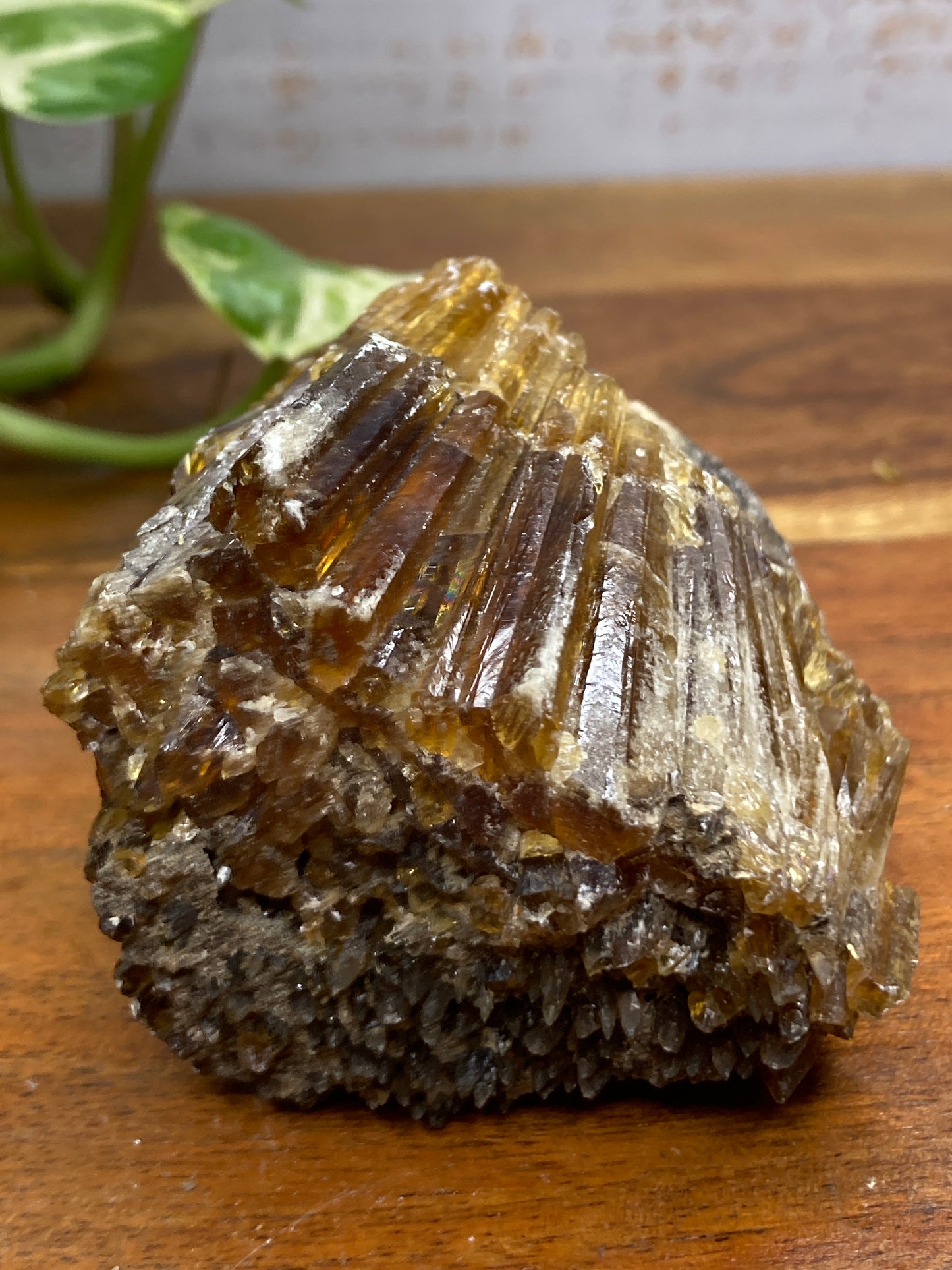 Amber Dogtooth Calcite