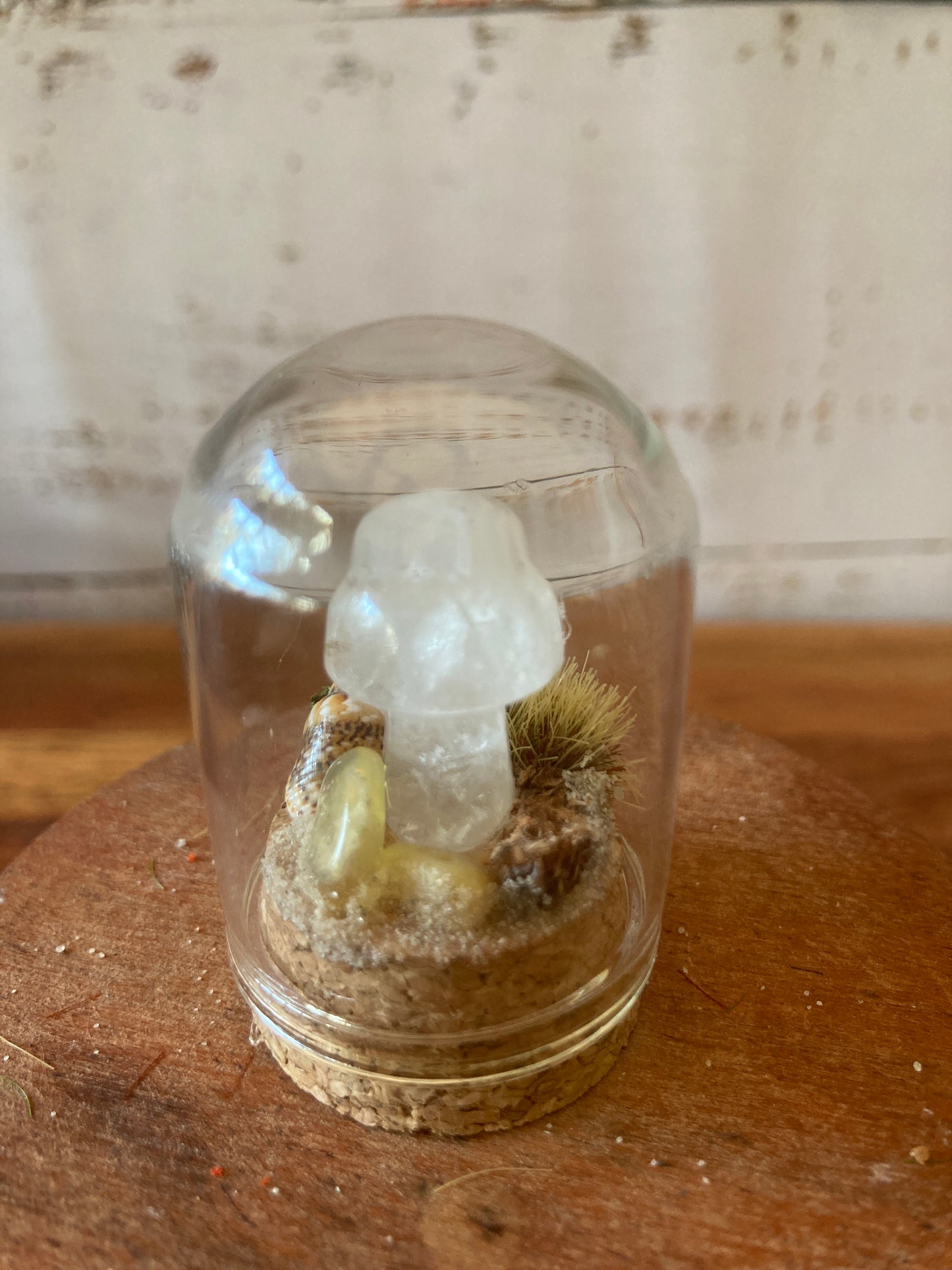 Clear Quartz Mushroom terrarium