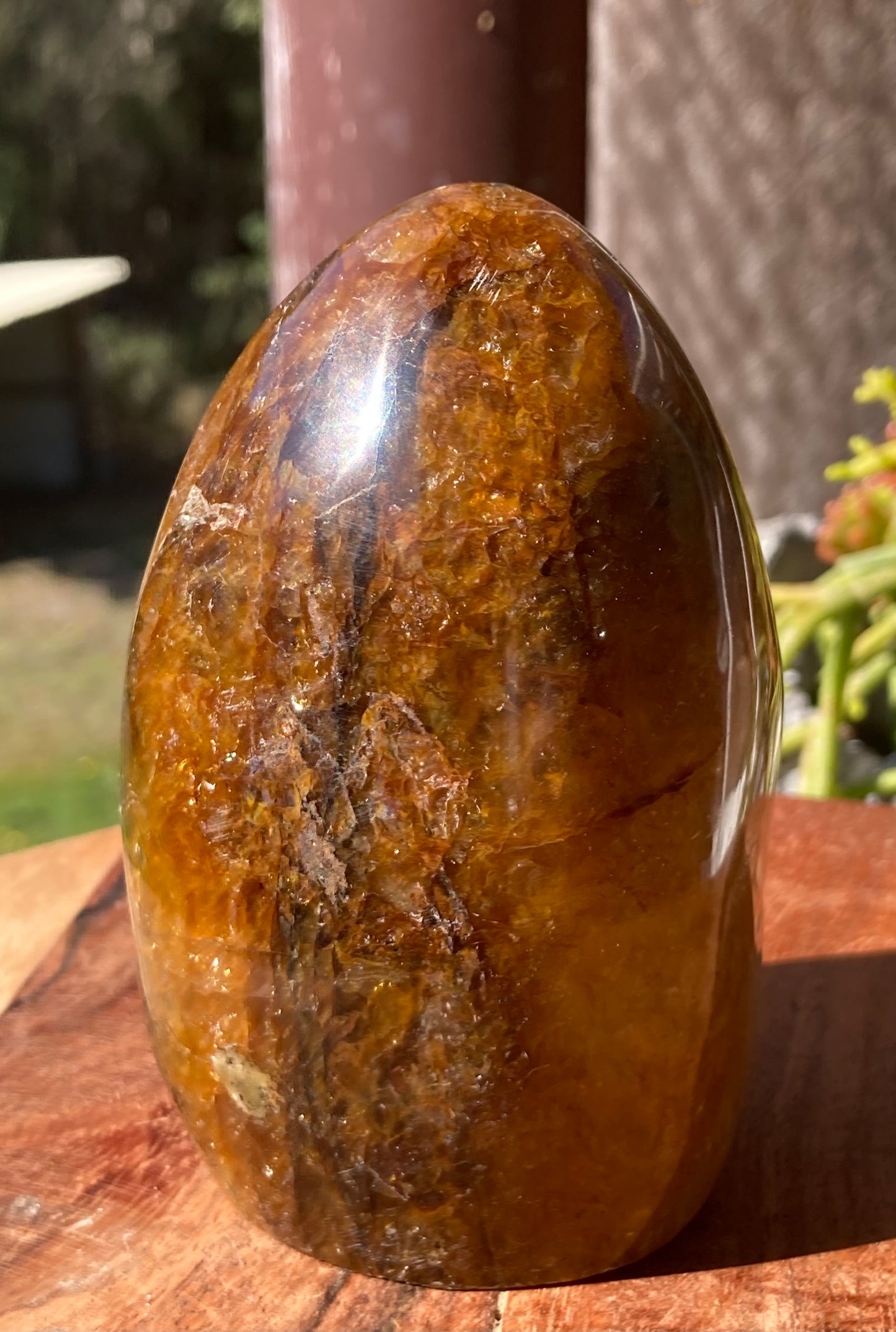 Golden Healer Freeform