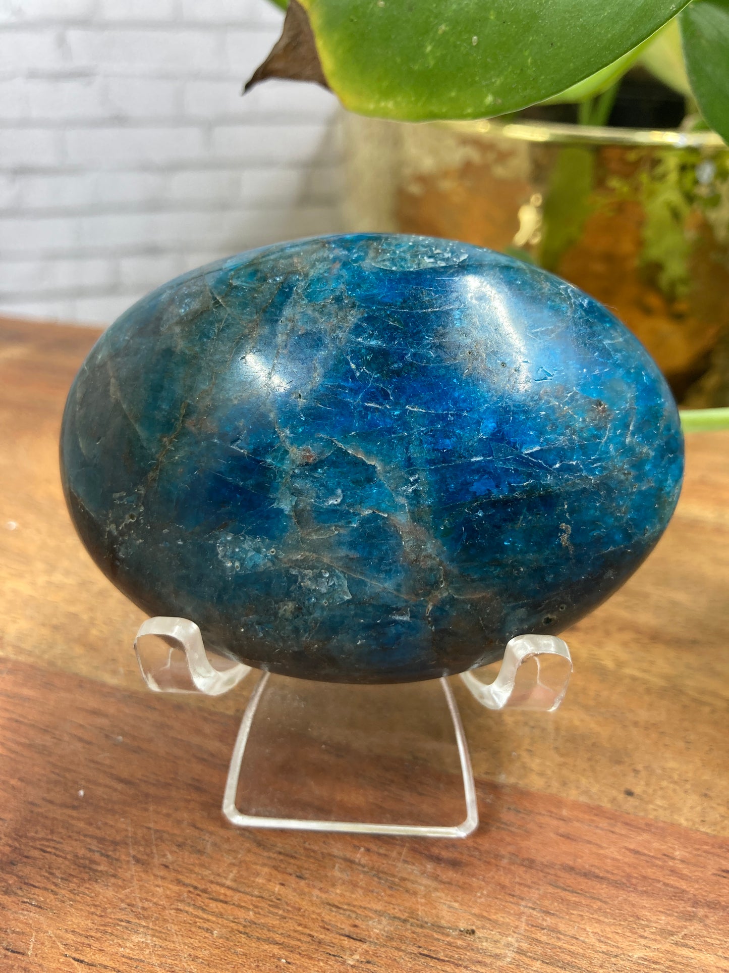 Apatite Palmstone