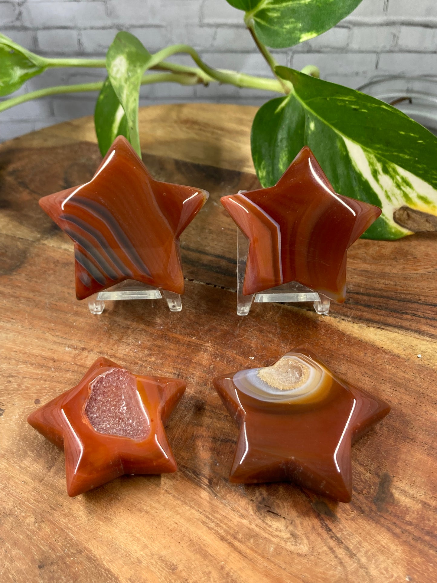 Carnelian Stars