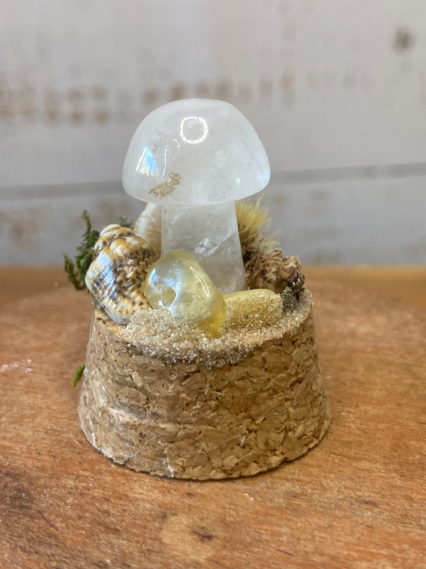 Clear Quartz Mushroom terrarium