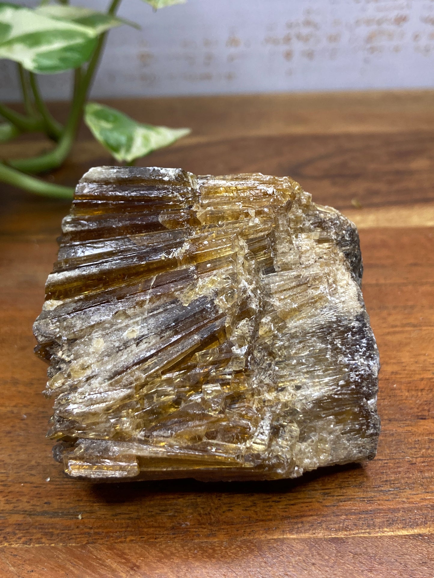 Amber Dogtooth Calcite