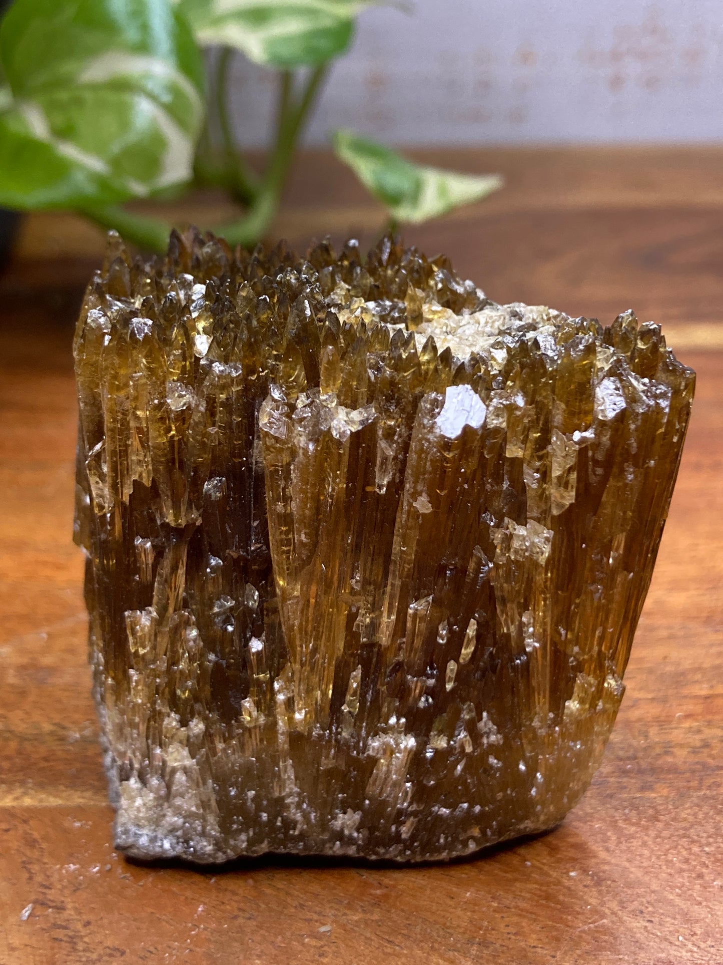 Amber Dogtooth Calcite