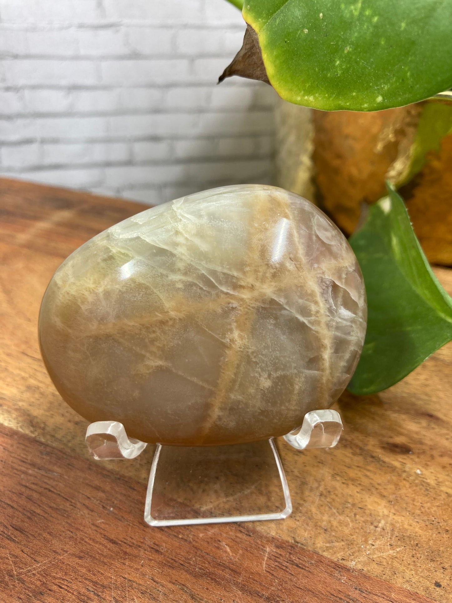 Moonstone Palmstone