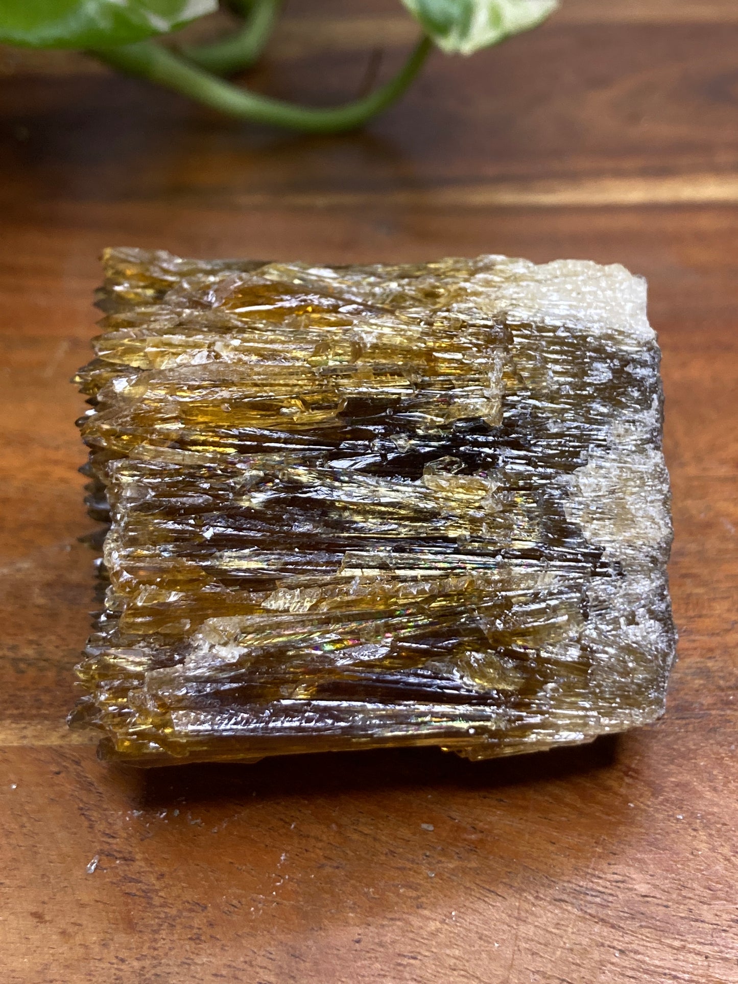 Amber Dogtooth Calcite