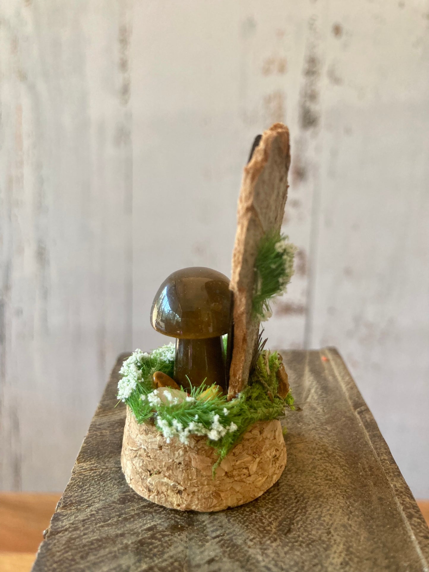 Tigers Eye Mushroom terrarium
