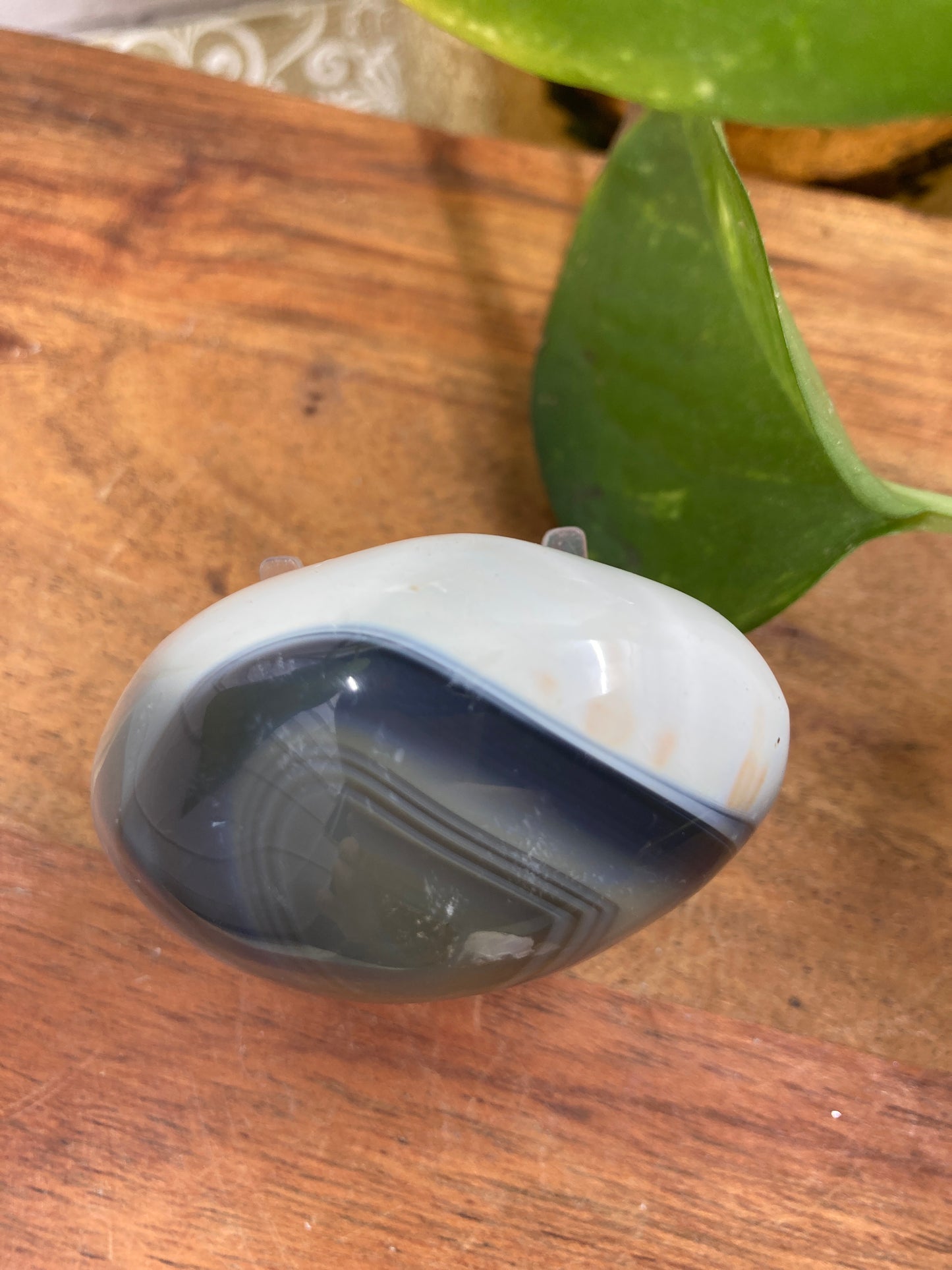 Orca Agate Palmstone