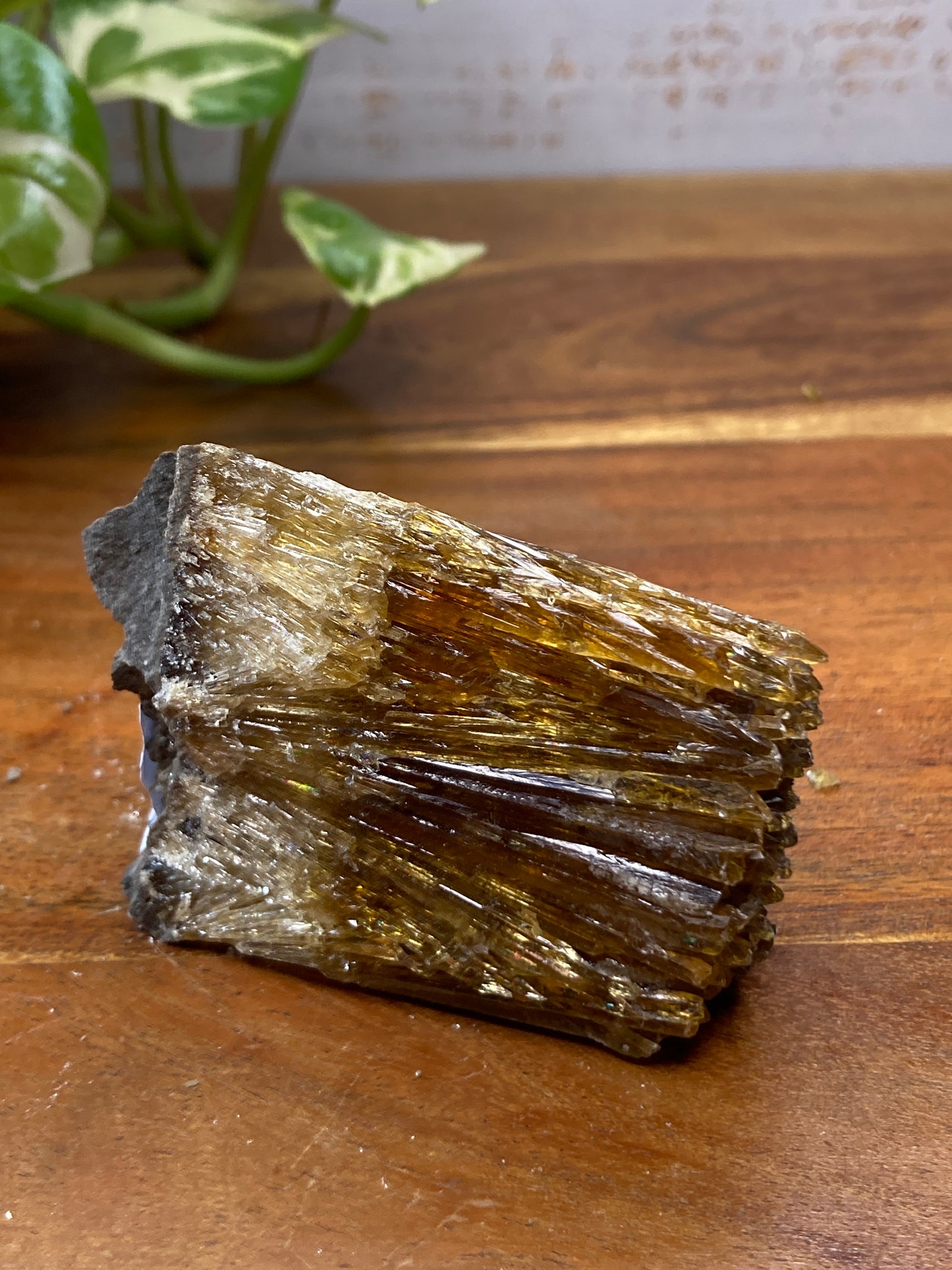 Amber Dogtooth Calcite