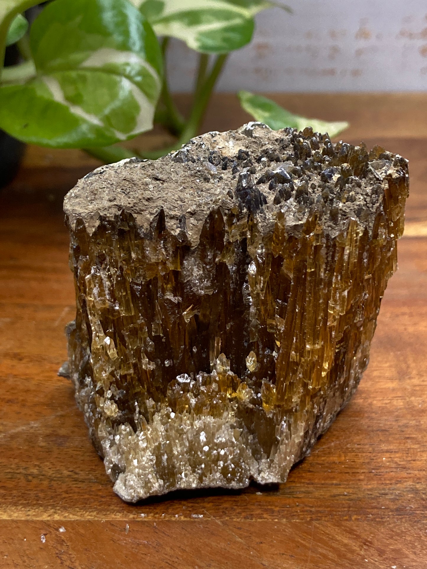 Amber Dogtooth Calcite