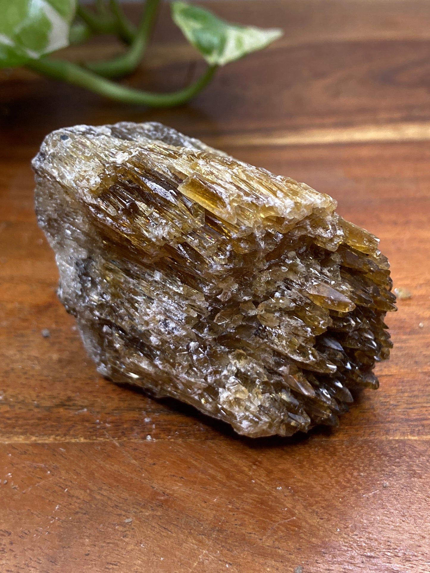 Amber Dogtooth Calcite