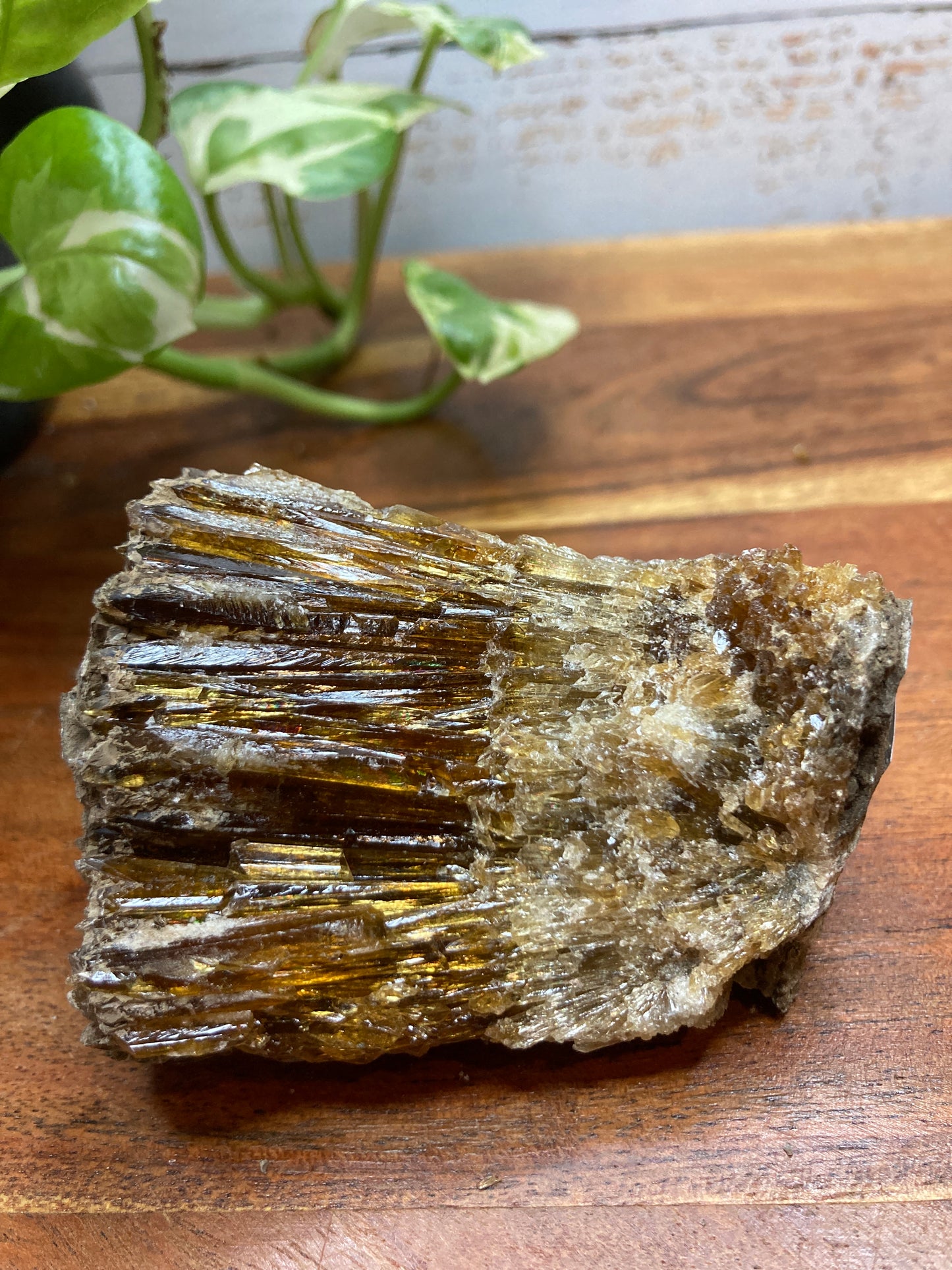 Amber Dogtooth Calcite