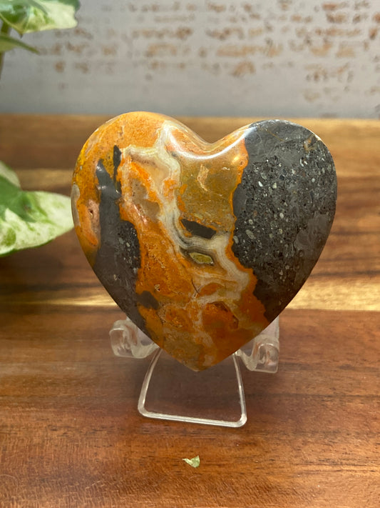 Bumblebee Jasper Hearts