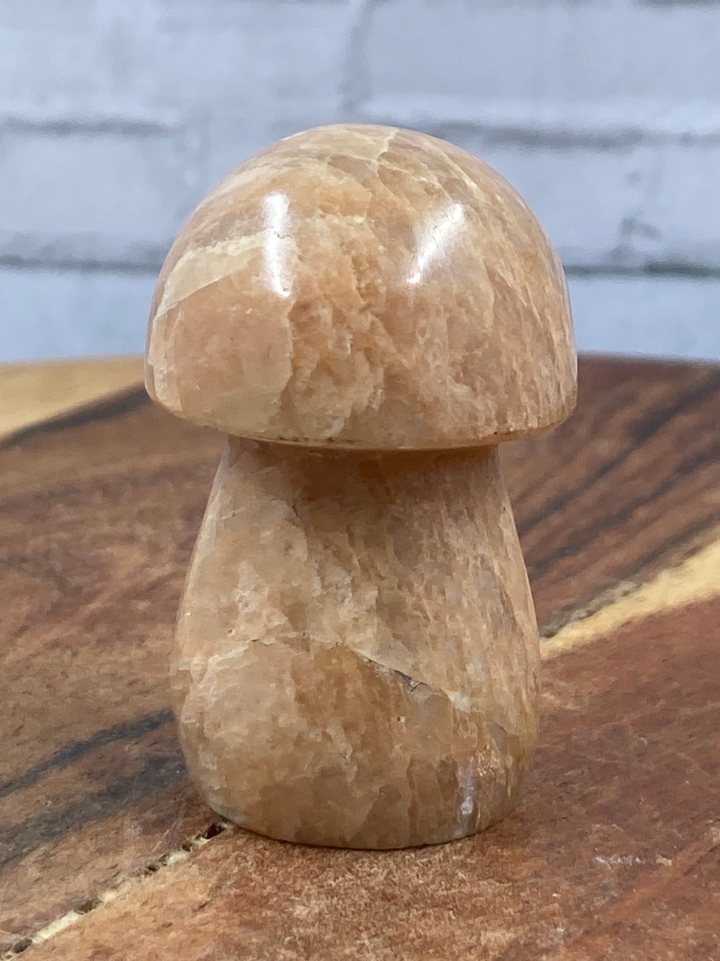Moonstone Mushroom