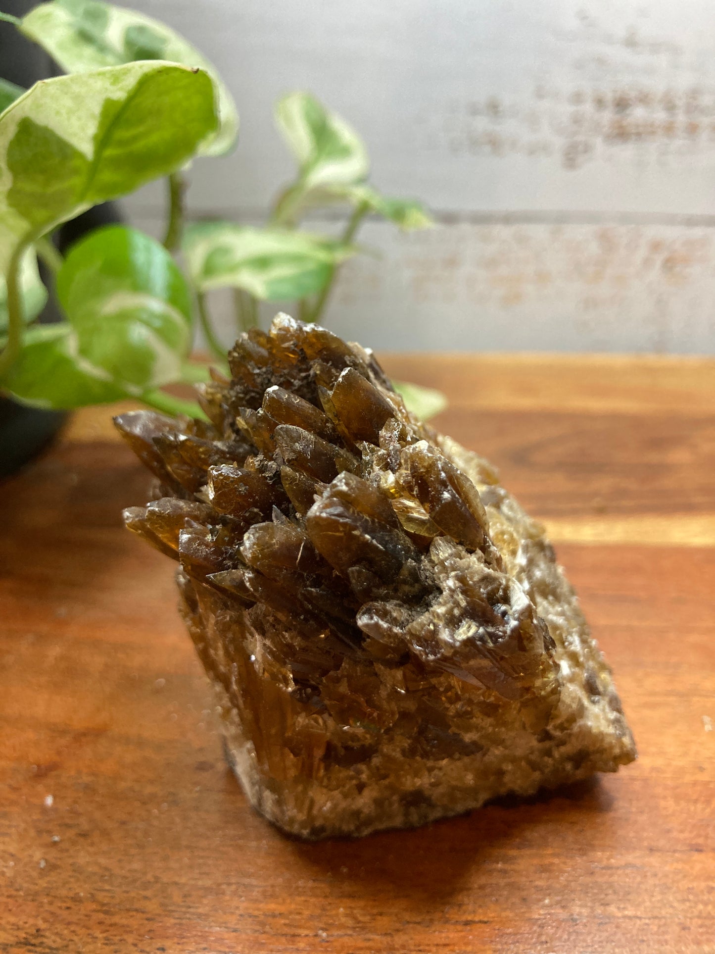 Amber Dogtooth Calcite