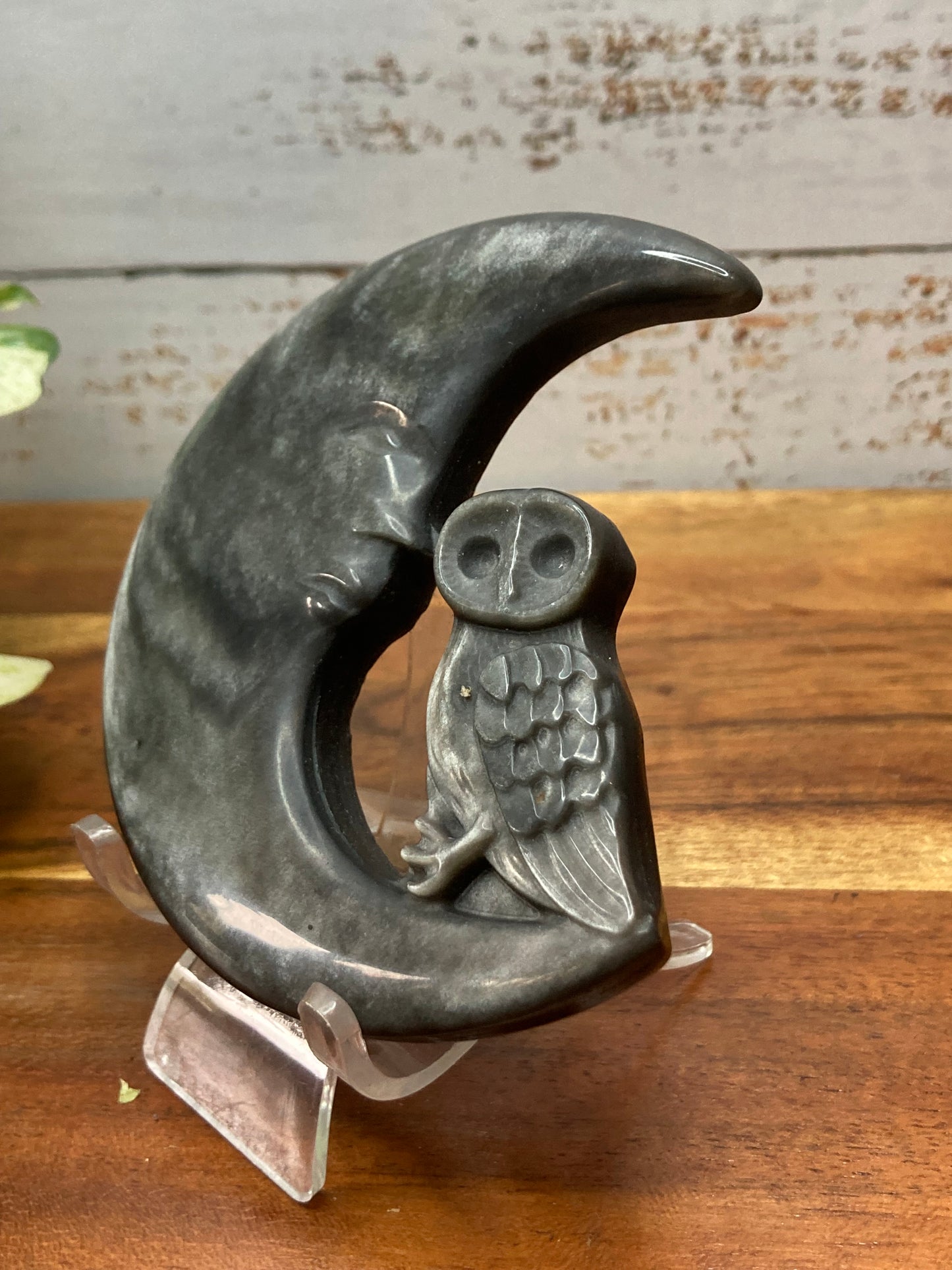 Silver Sheen Obsidian Moon with Owl