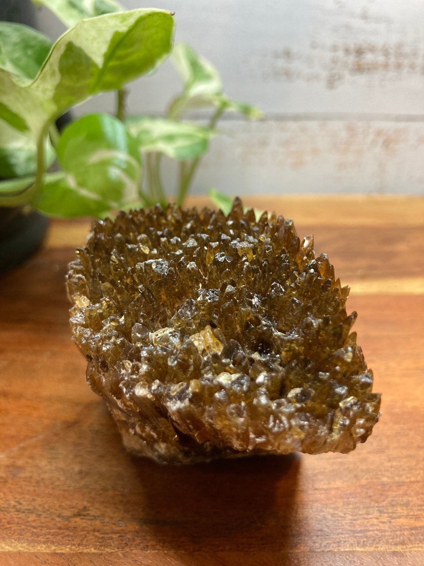Amber Dogtooth Calcite