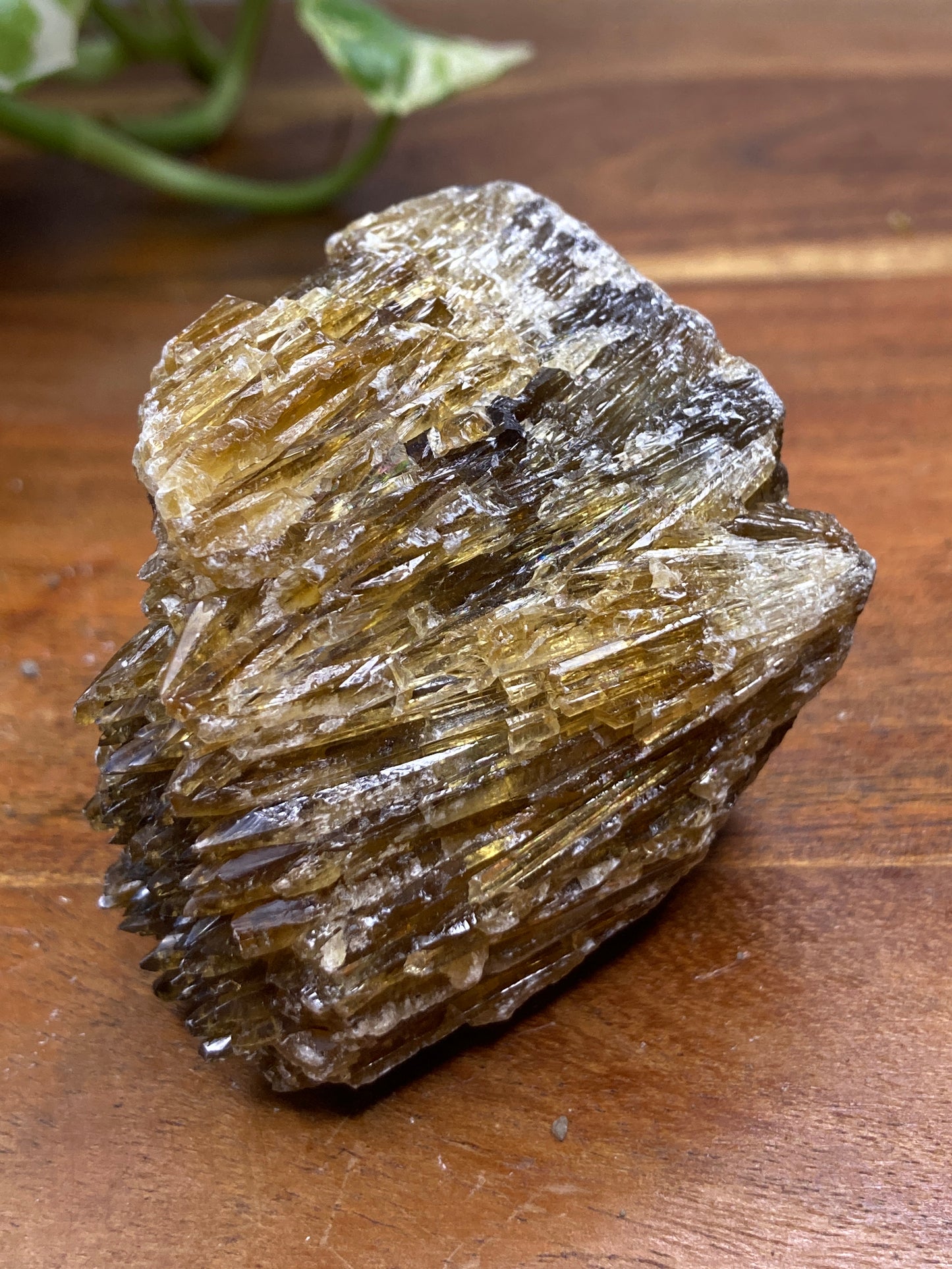 Amber Dogtooth Calcite